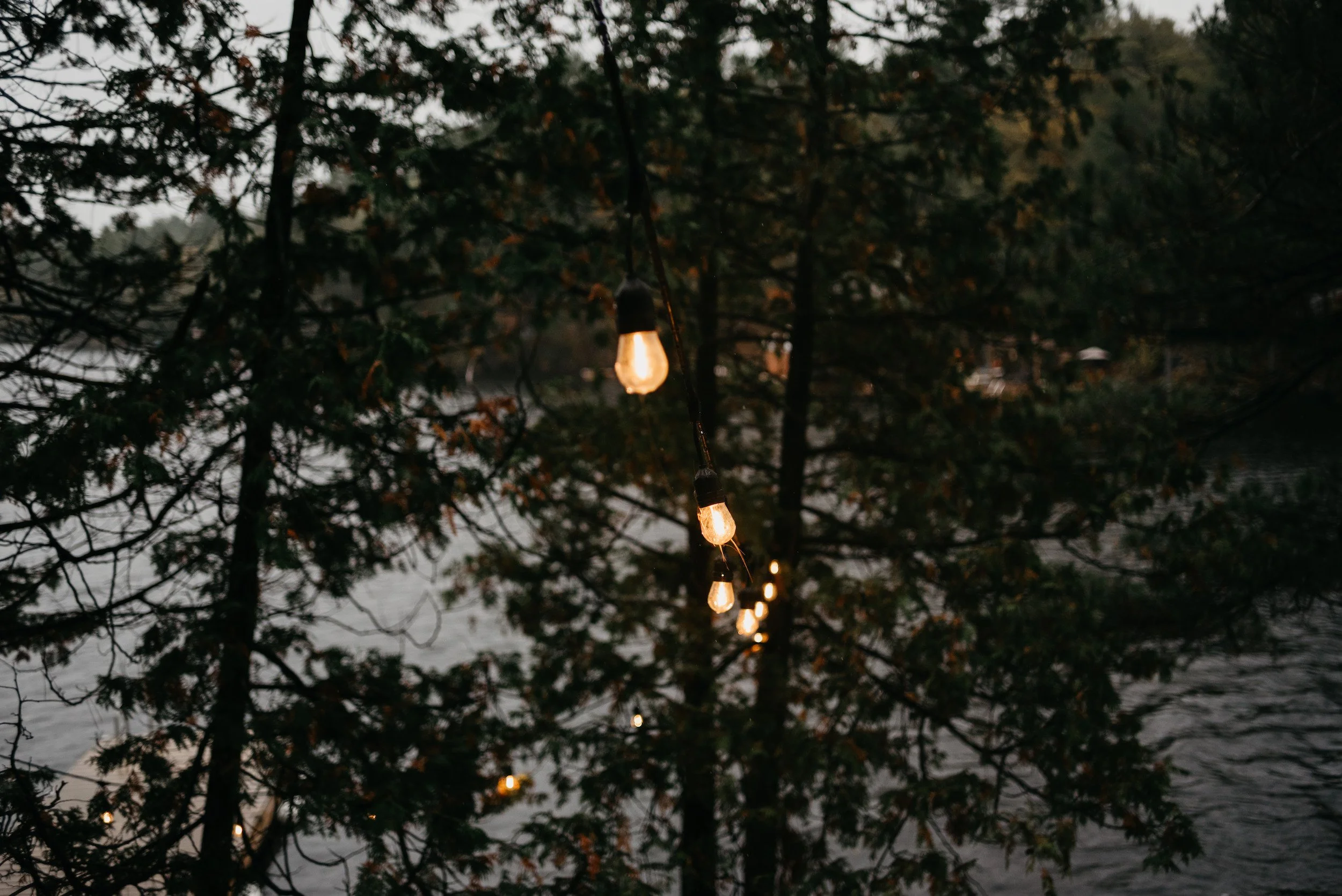 String of hanging string lights with warm light bulbs outdoors near a body of water, trees, and distant hills or mountains.