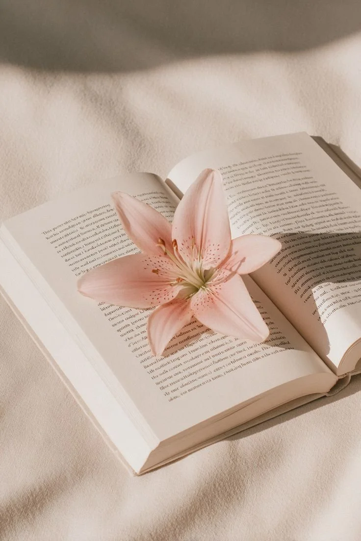 An open book with a pink lily flower resting on its pages.