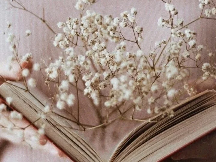 Open book with baby's breath flowers lying on top, pastel pink surface background.