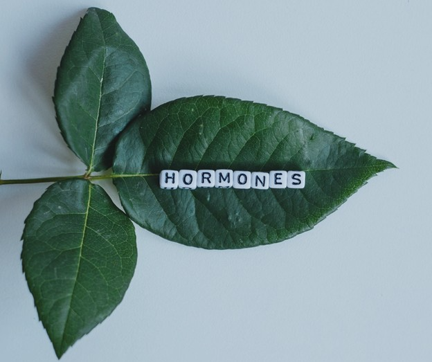 How Hormones Affect Hair Loss: Causes, Symptoms, and Natural Solutions.