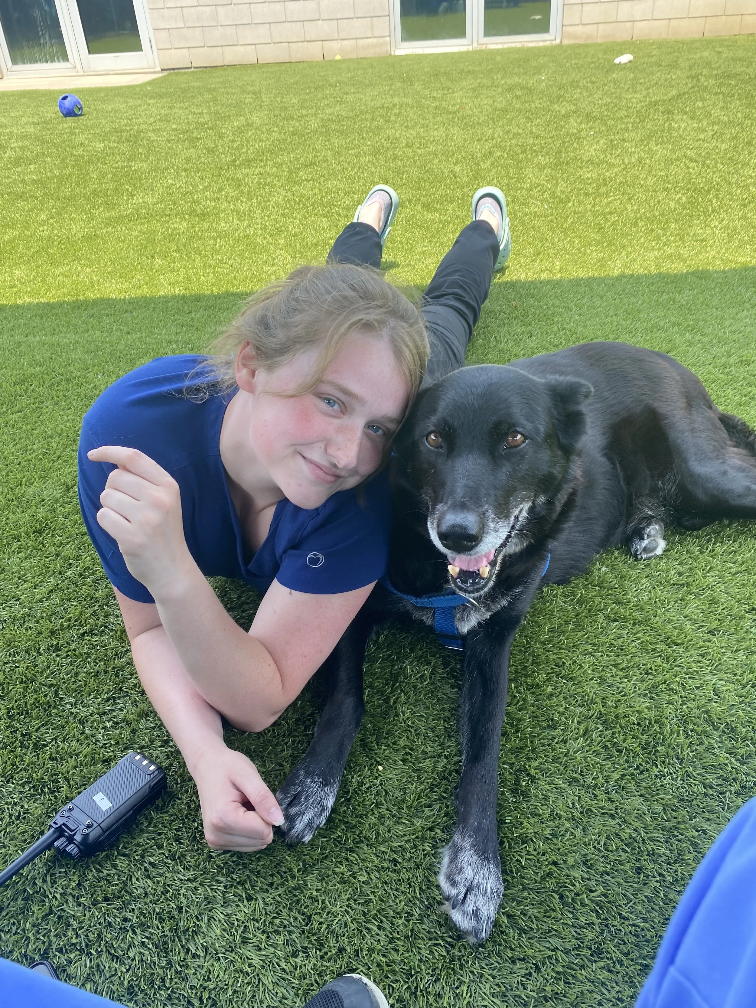 A girl lying on the grass with a black dog, both smiling and looking at the camera. The girl has light skin, blonde hair, and is wearing a blue shirt. The dog is black with some white markings and is wearing a harness. Dog training orientation
