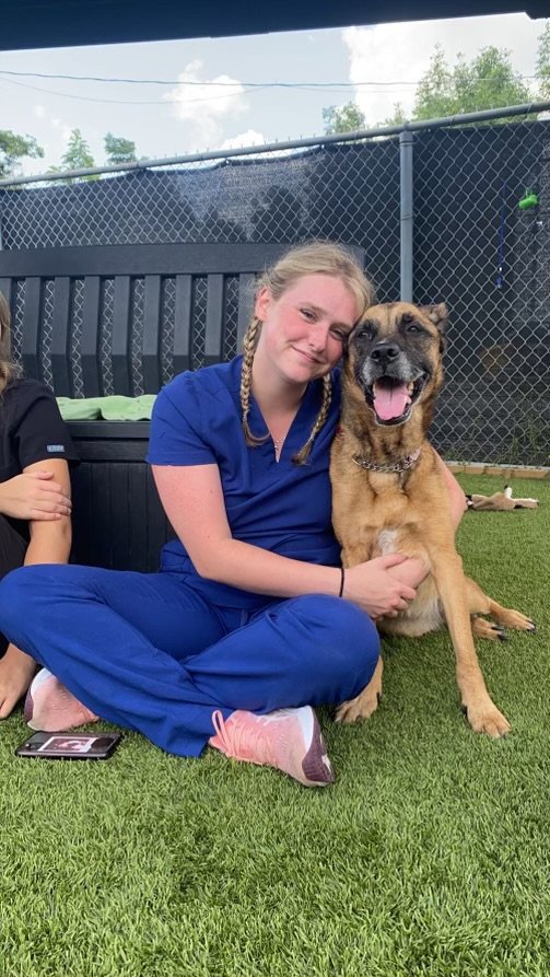 A young girl with braided hair and dressed in blue medical scrubs sitting on grass, hugging a large brown dog with a happy expression, in a fenced outdoor area with a black bench and lush green trees in the background. Book now.  Order Now