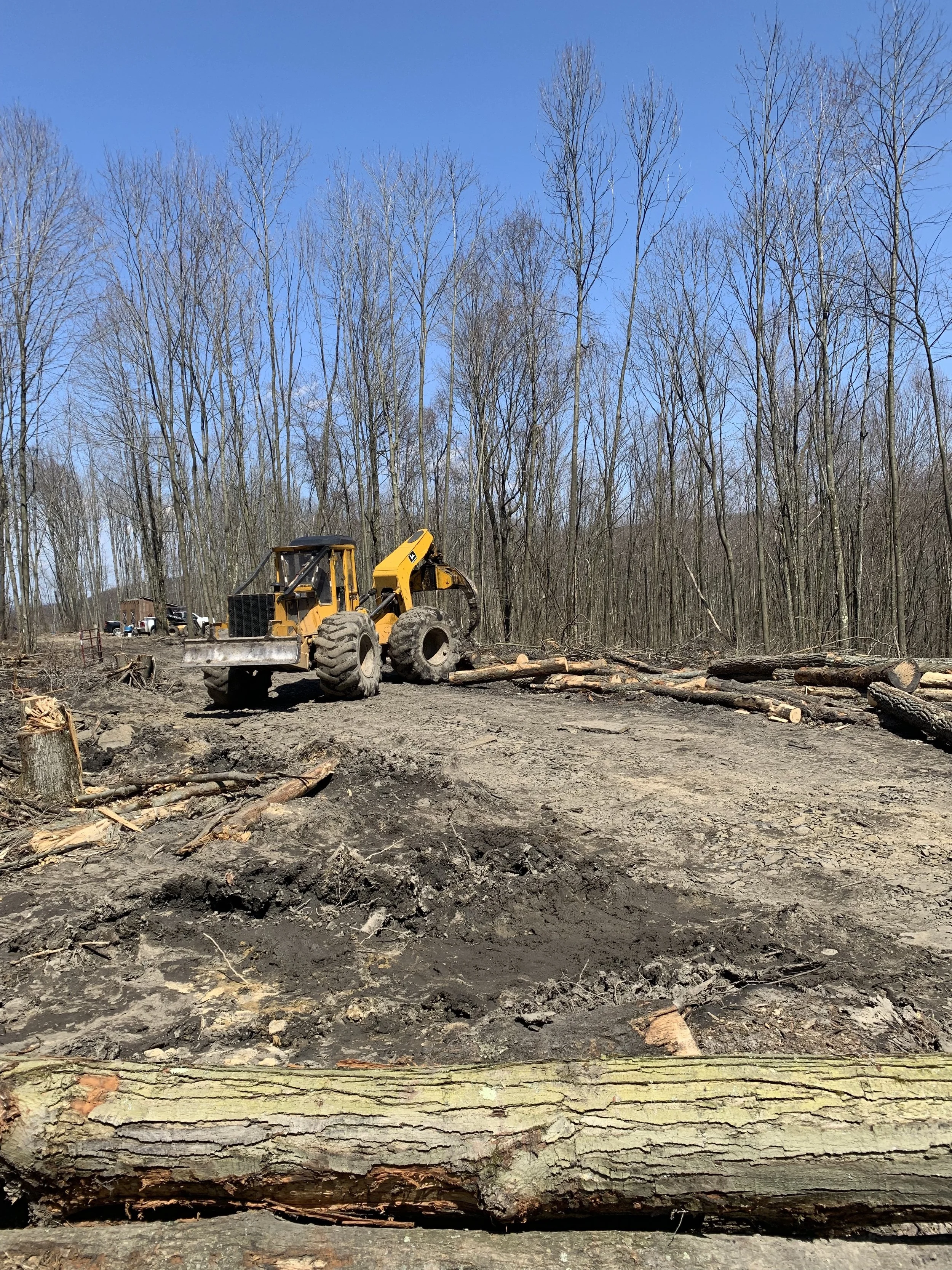 A yellow bulldozer clearing trees in a forest area on a clear, sunny day.