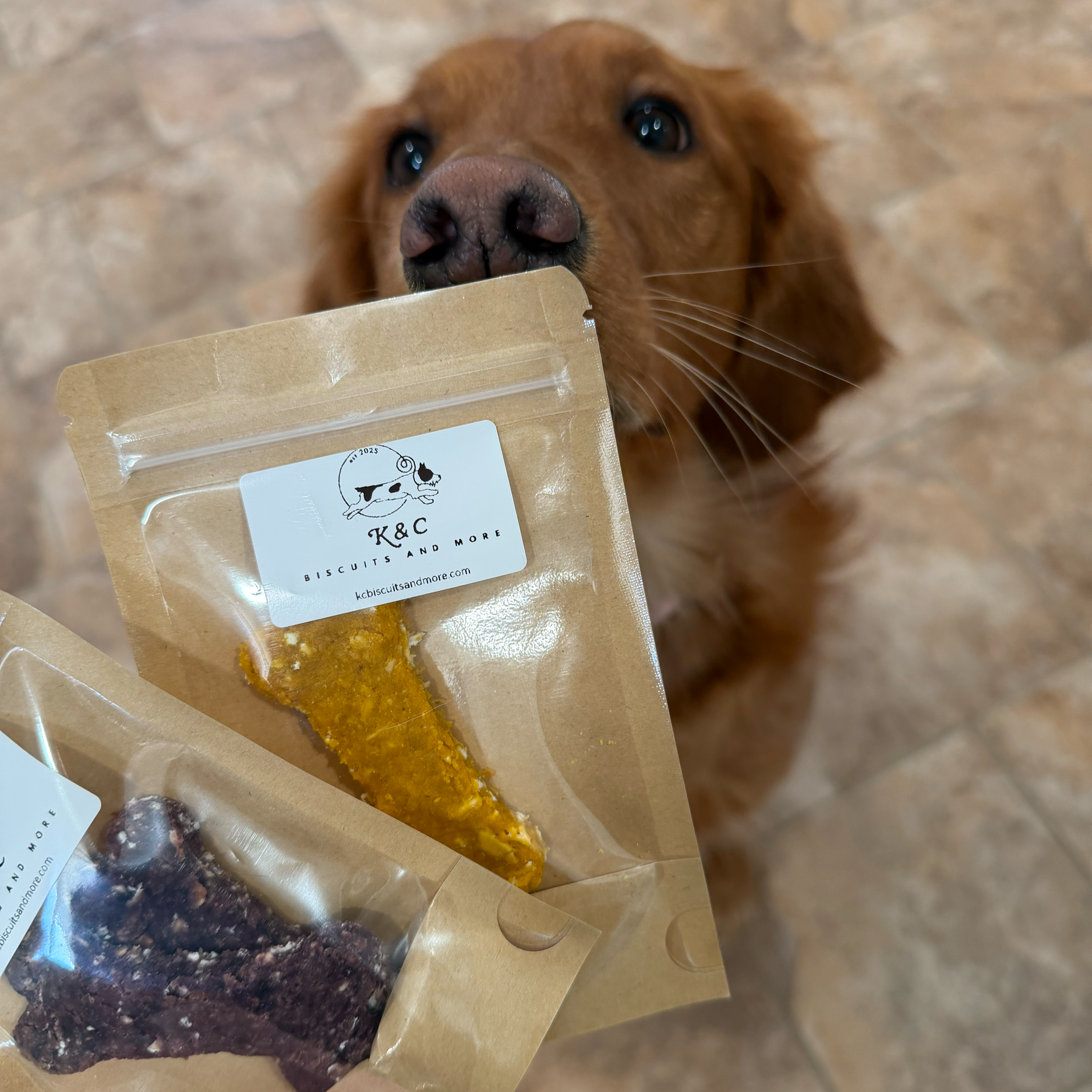 A Golden Retriever dog holding a package of dog treats in its mouth, with a tiled floor background.