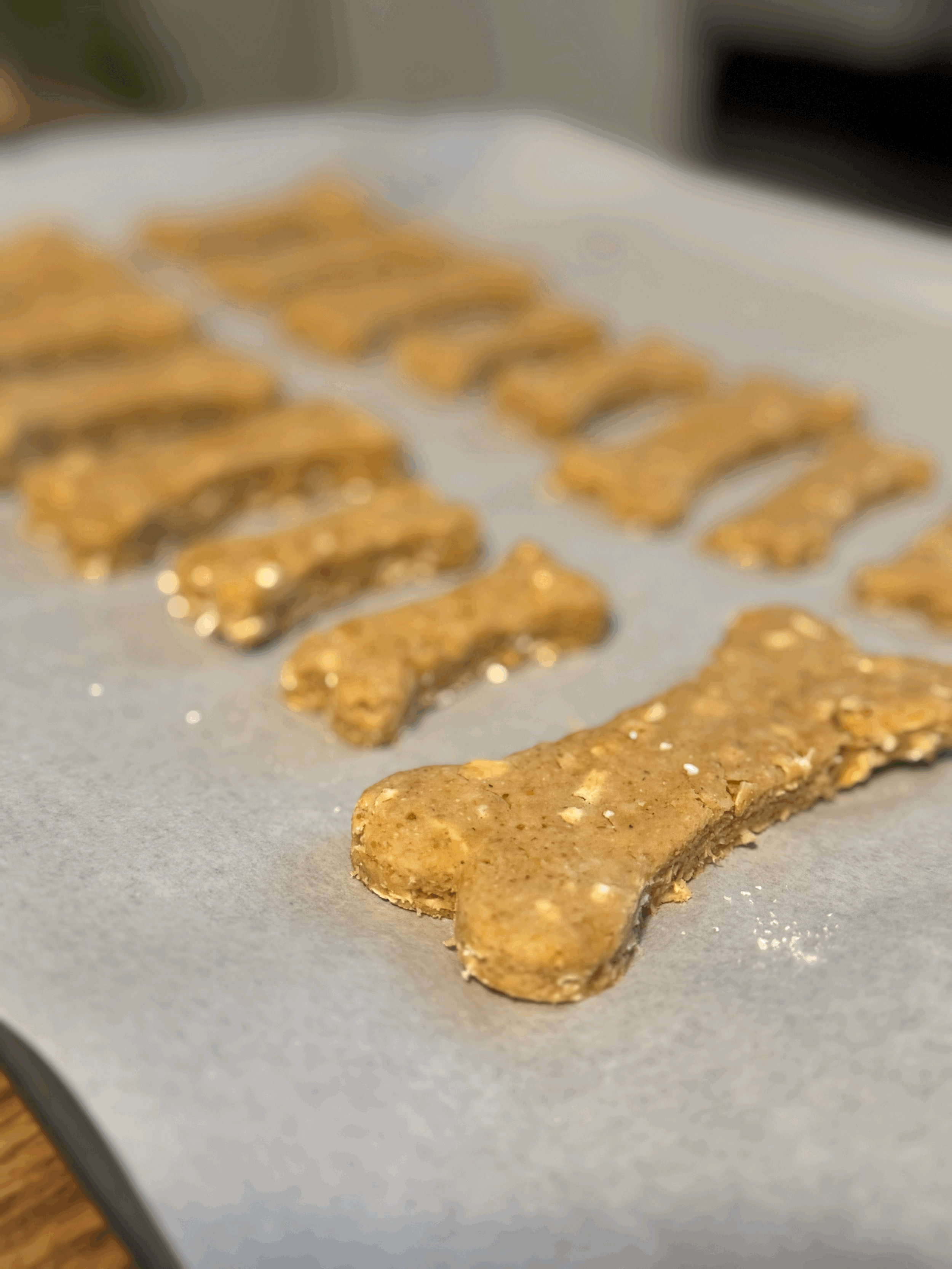 Peanut Butter & Oats