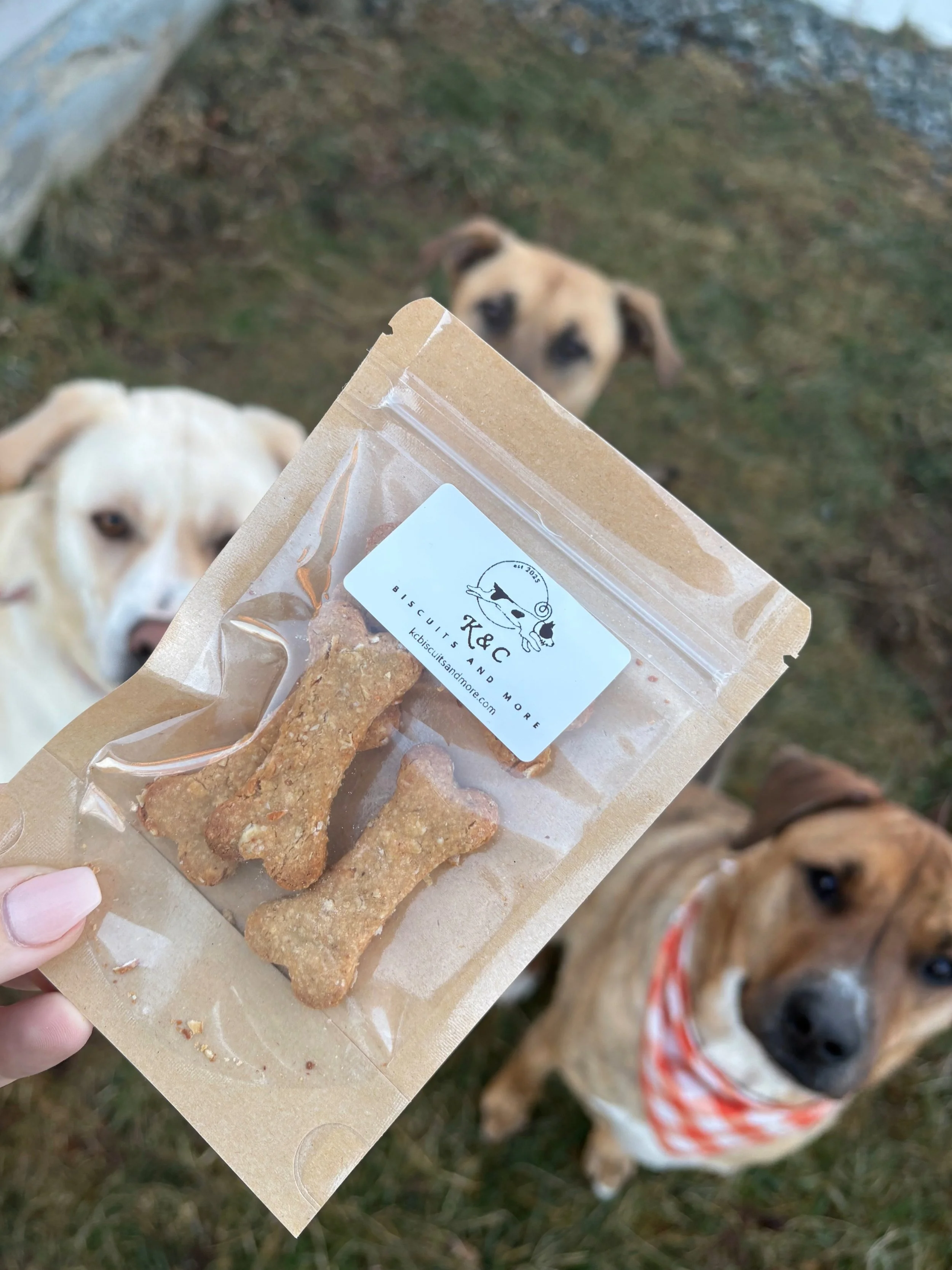 Hand holding a brown paper bag of dog treats with three dogs in the background on a grassy area, looking up at the camera.