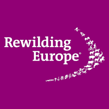 Rewilding Europe – Head of Philanthropy