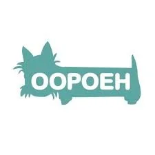 Stichting OOPOEH – Directeur
