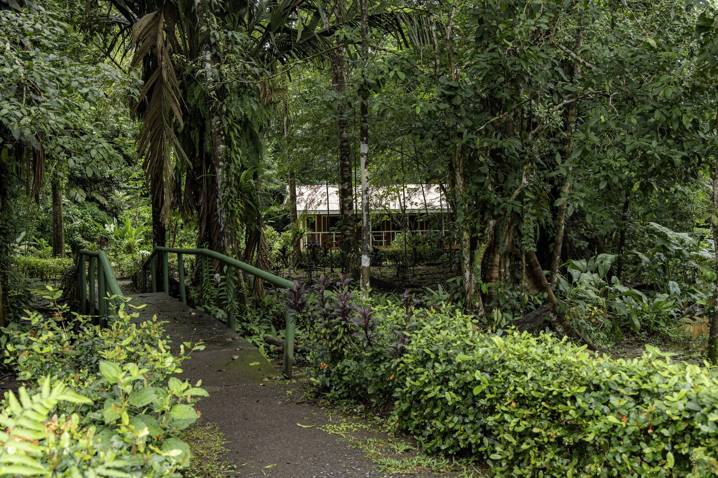 costa rica.jpg