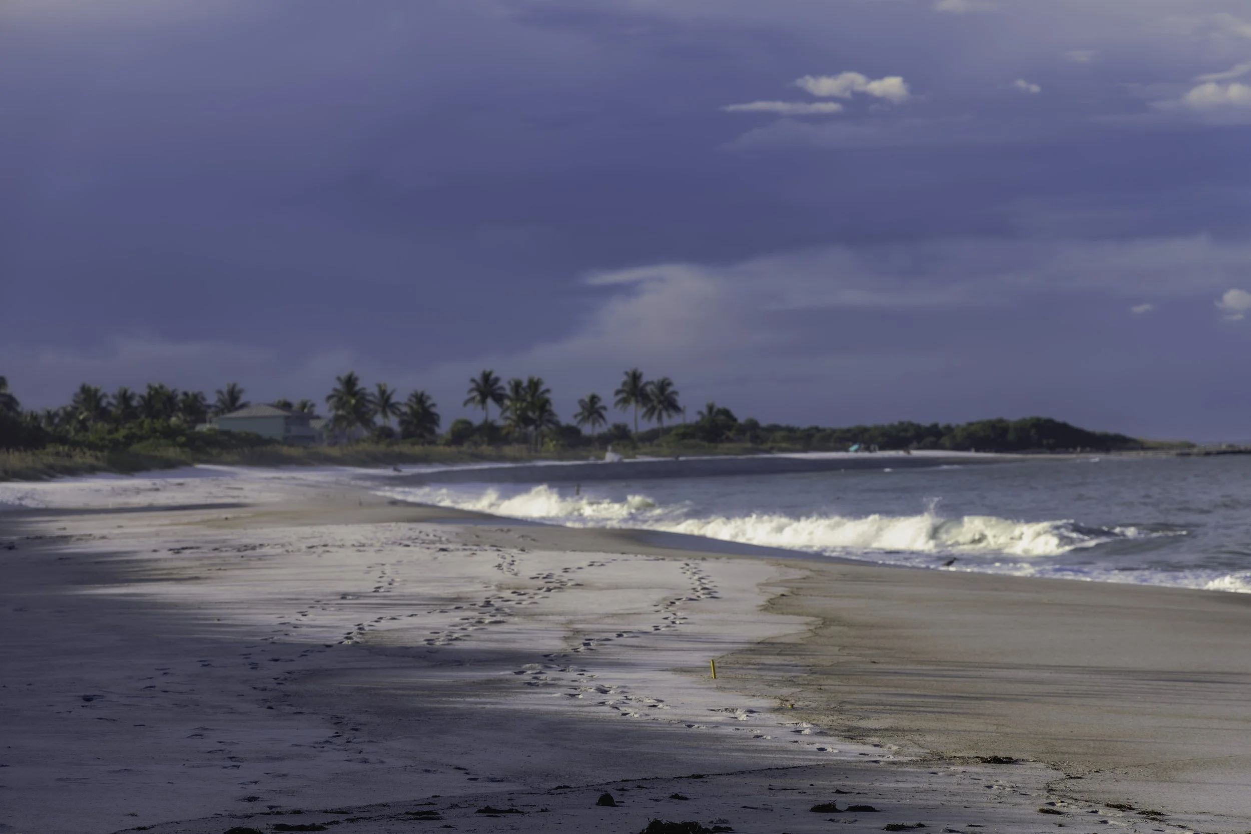 empty beach.jpg