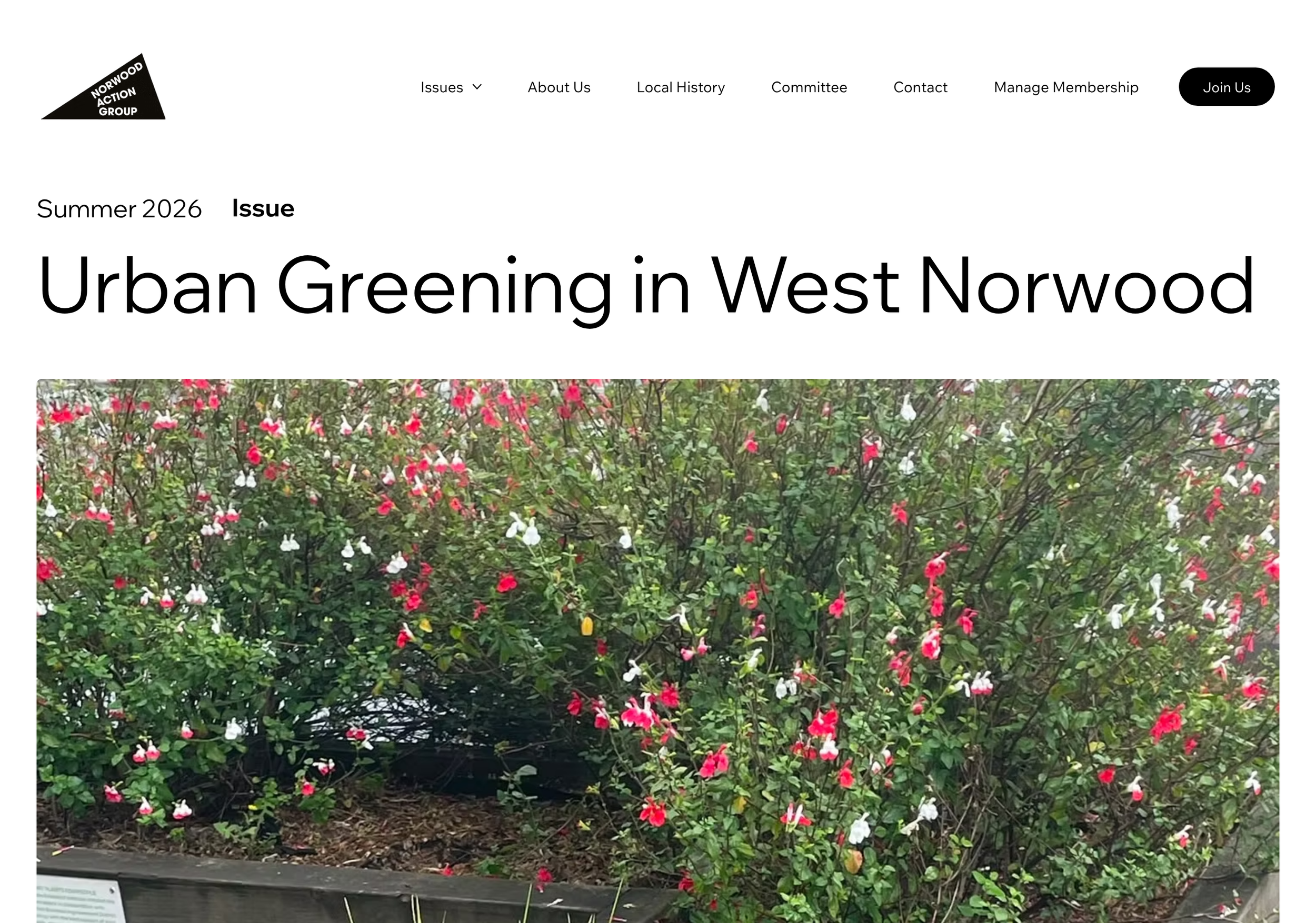 Norwood Action Group current campaigns