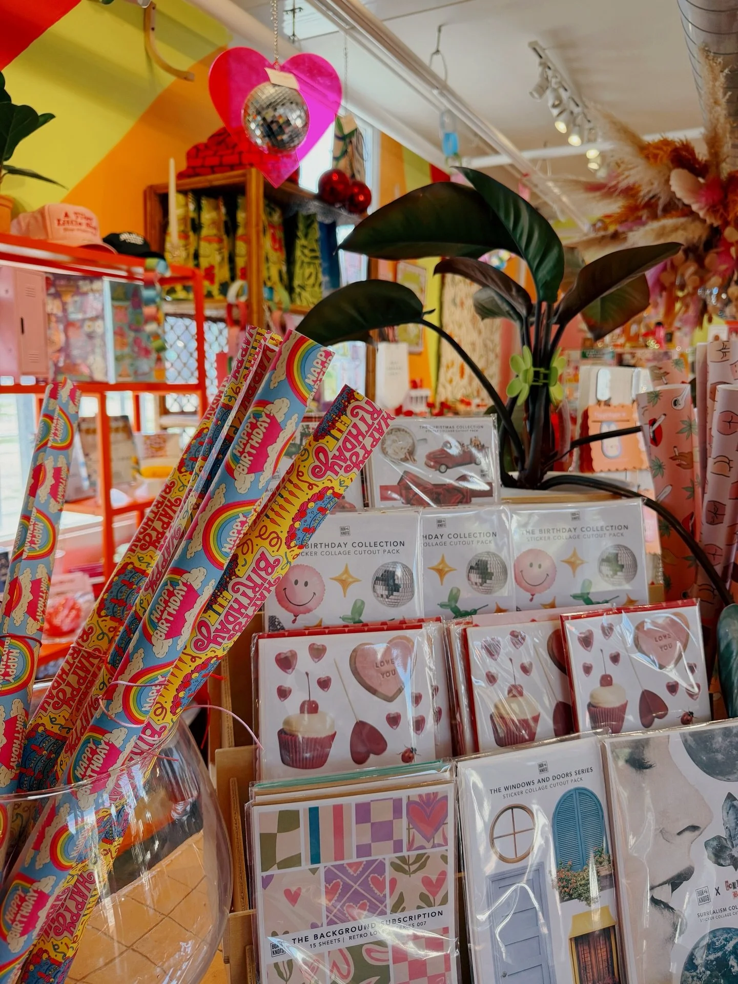 Dear February, thank you for a month of new adventures. 📸