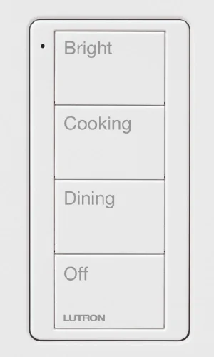 Lutron R2A Select three-01.webp