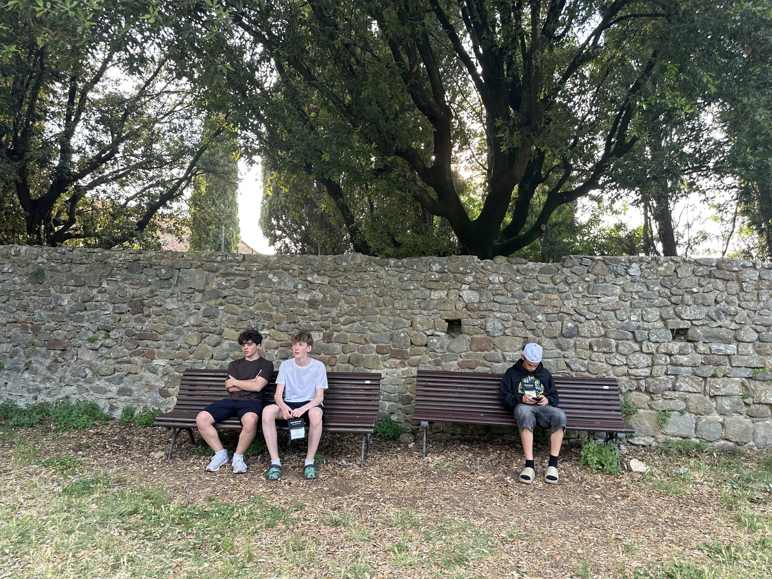 IMG_3235.jpeg