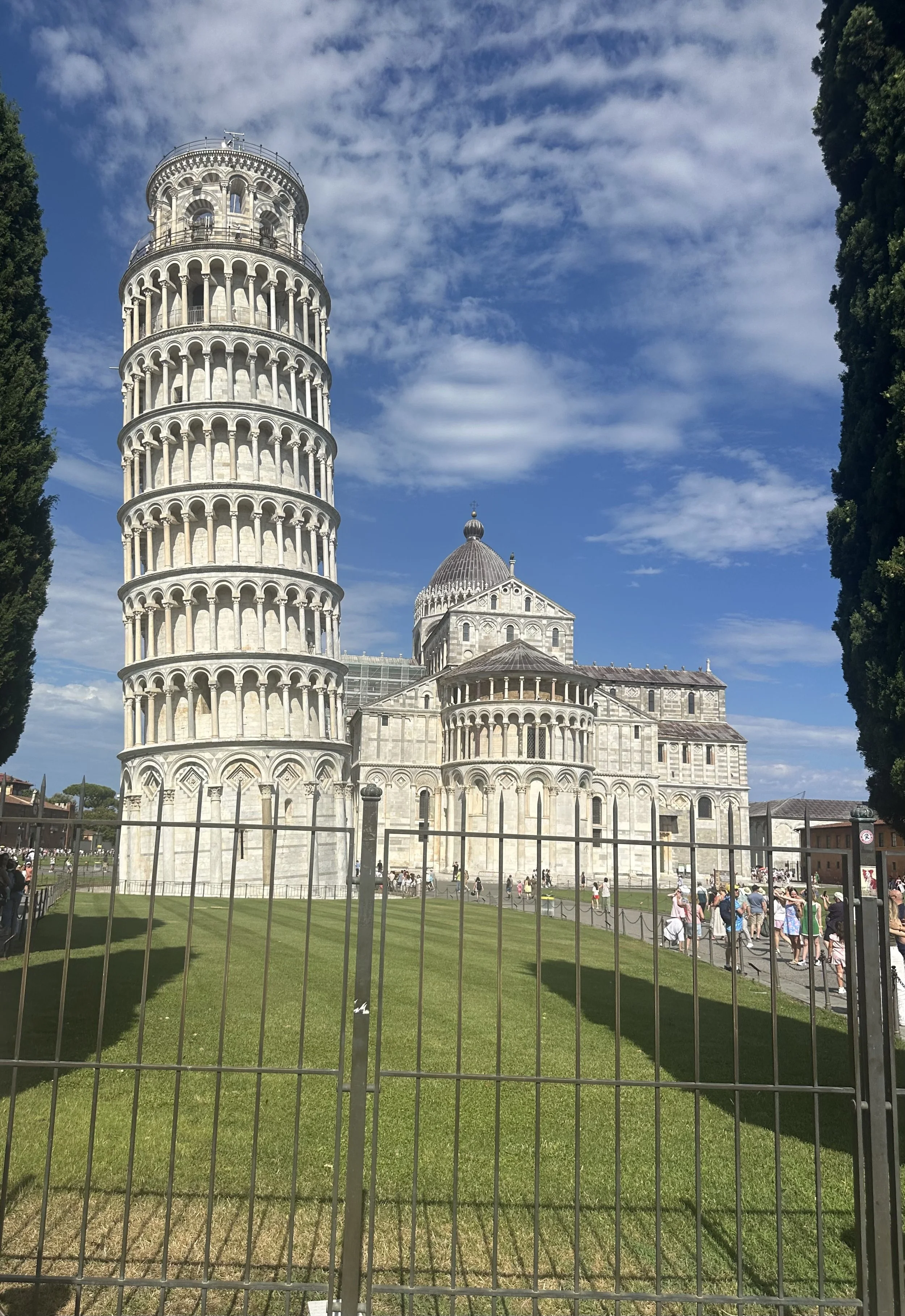 IMG_3310.jpeg