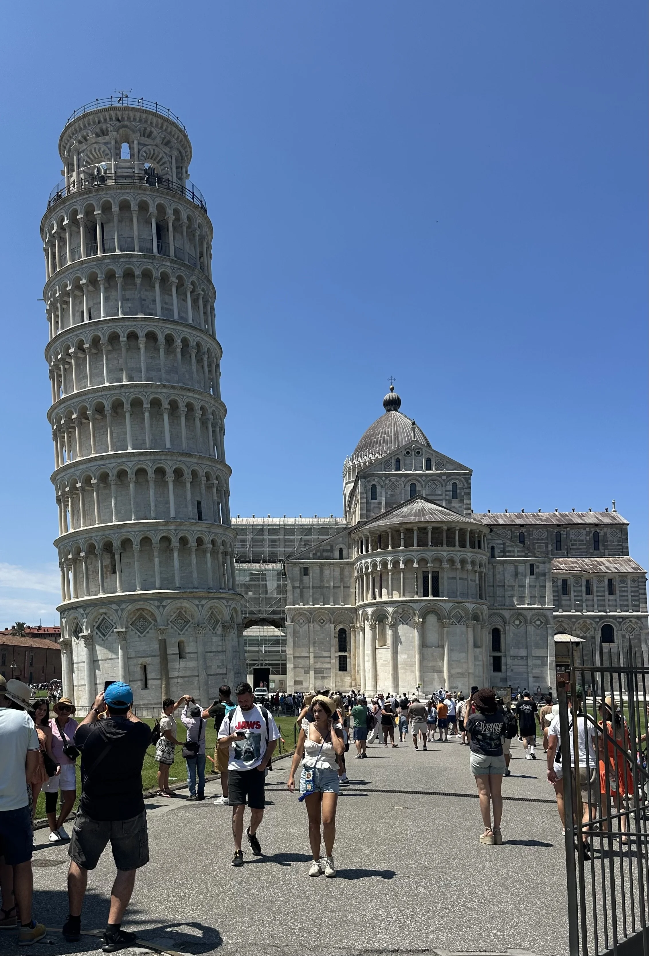 IMG_3382.jpeg