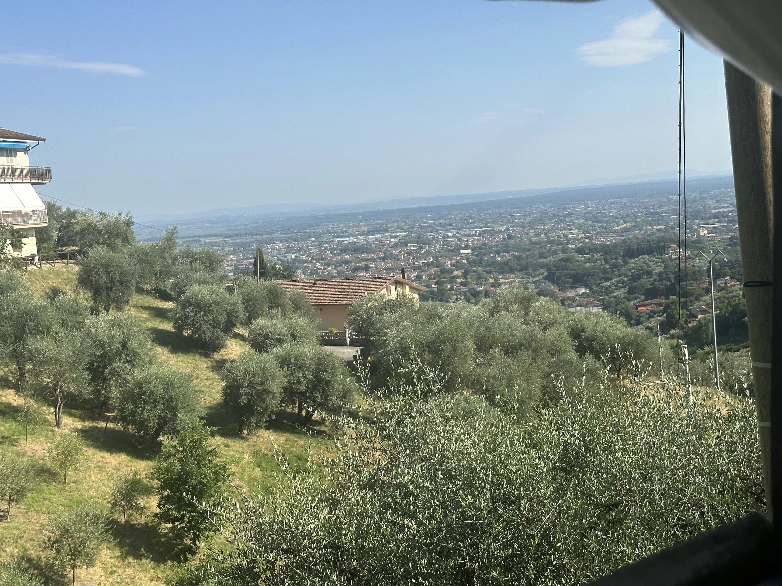 IMG_3617.jpeg