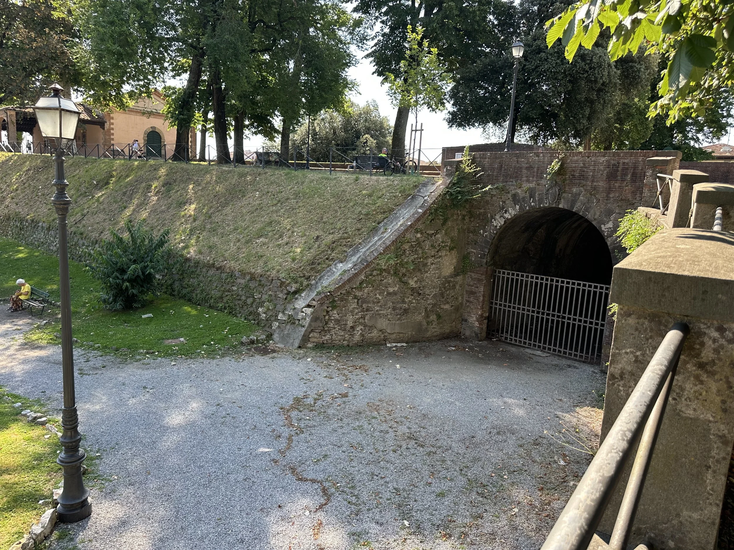 IMG_3973.jpeg