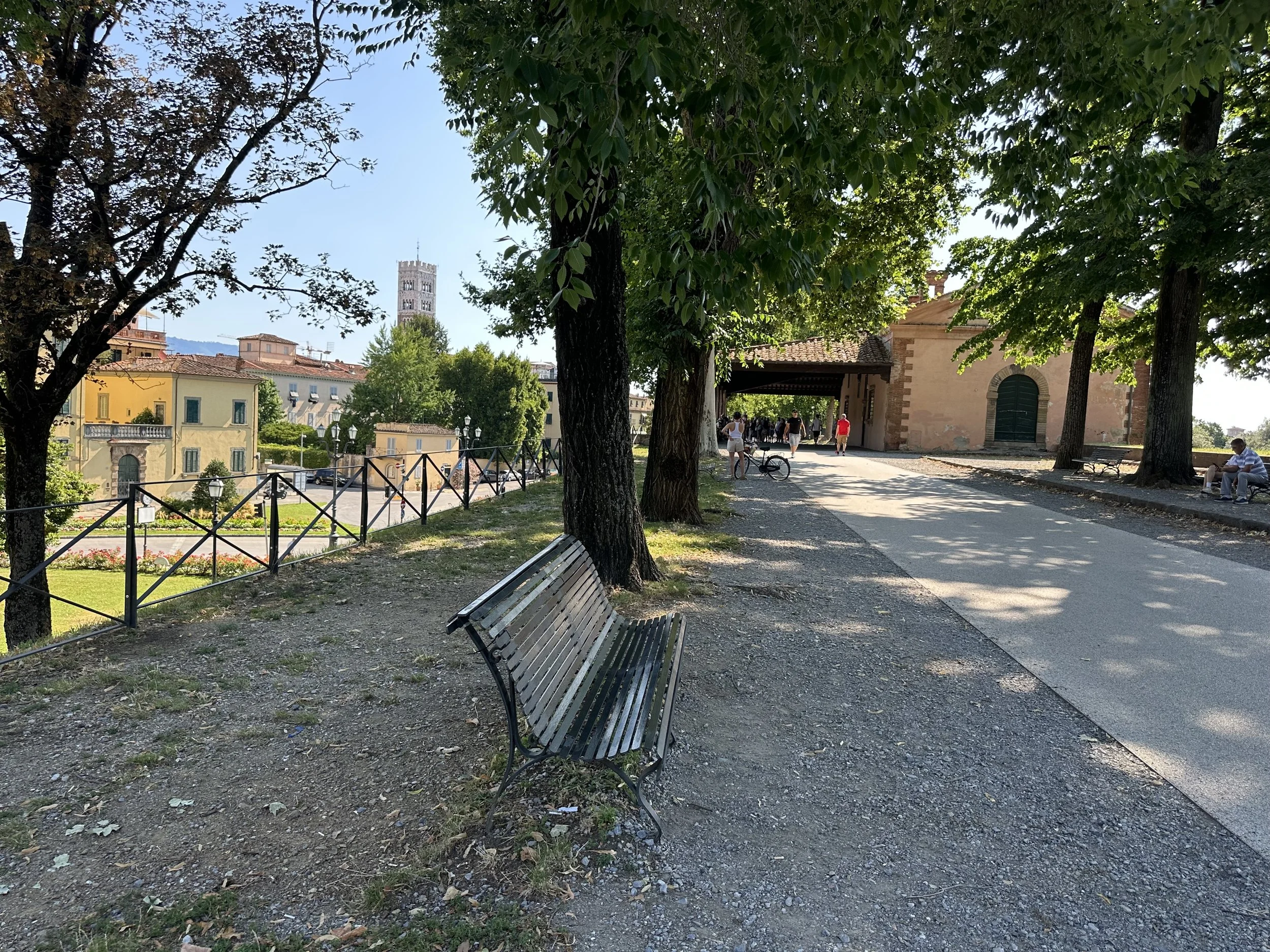 IMG_3974.jpeg