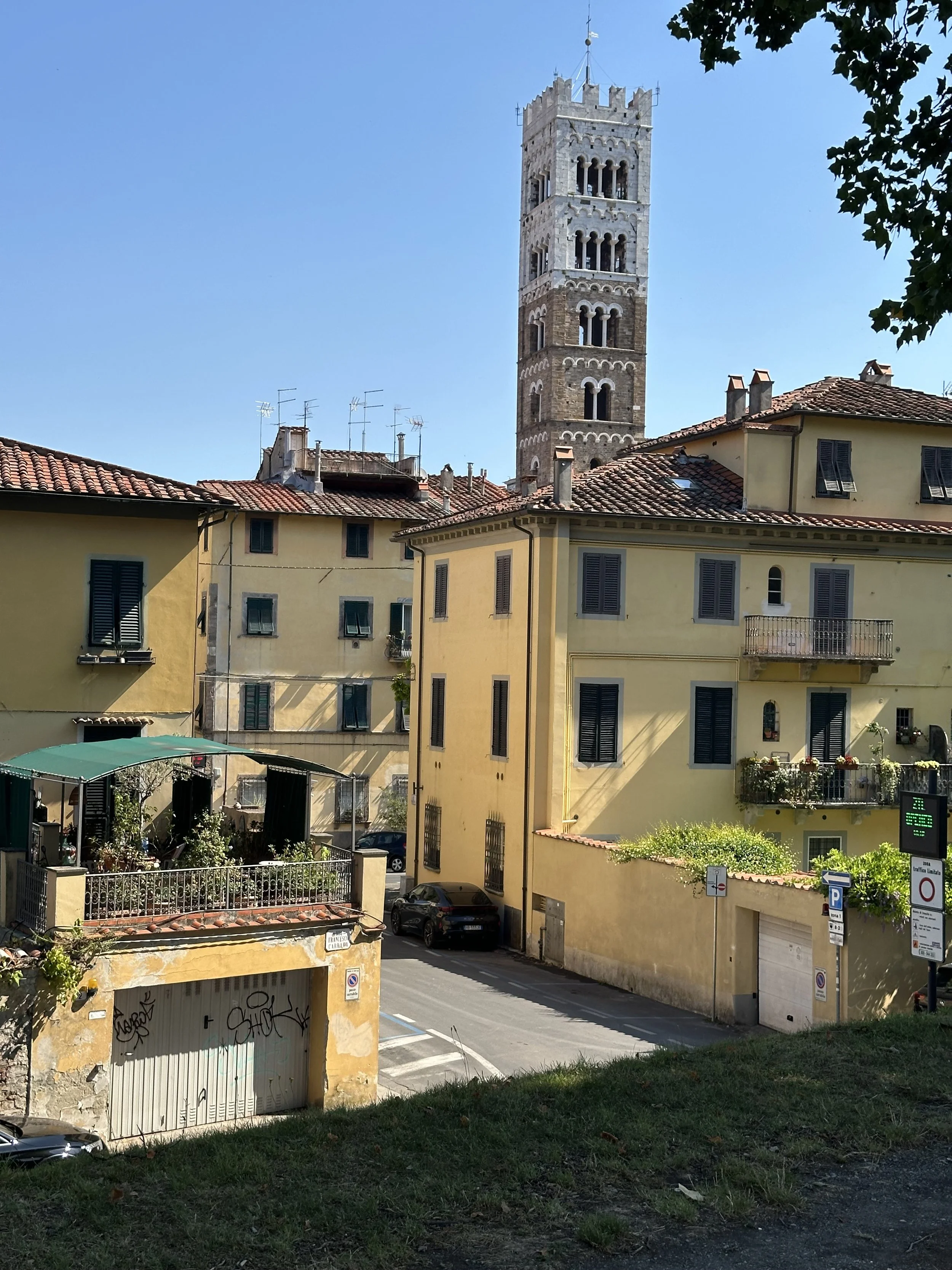 IMG_3978.jpeg