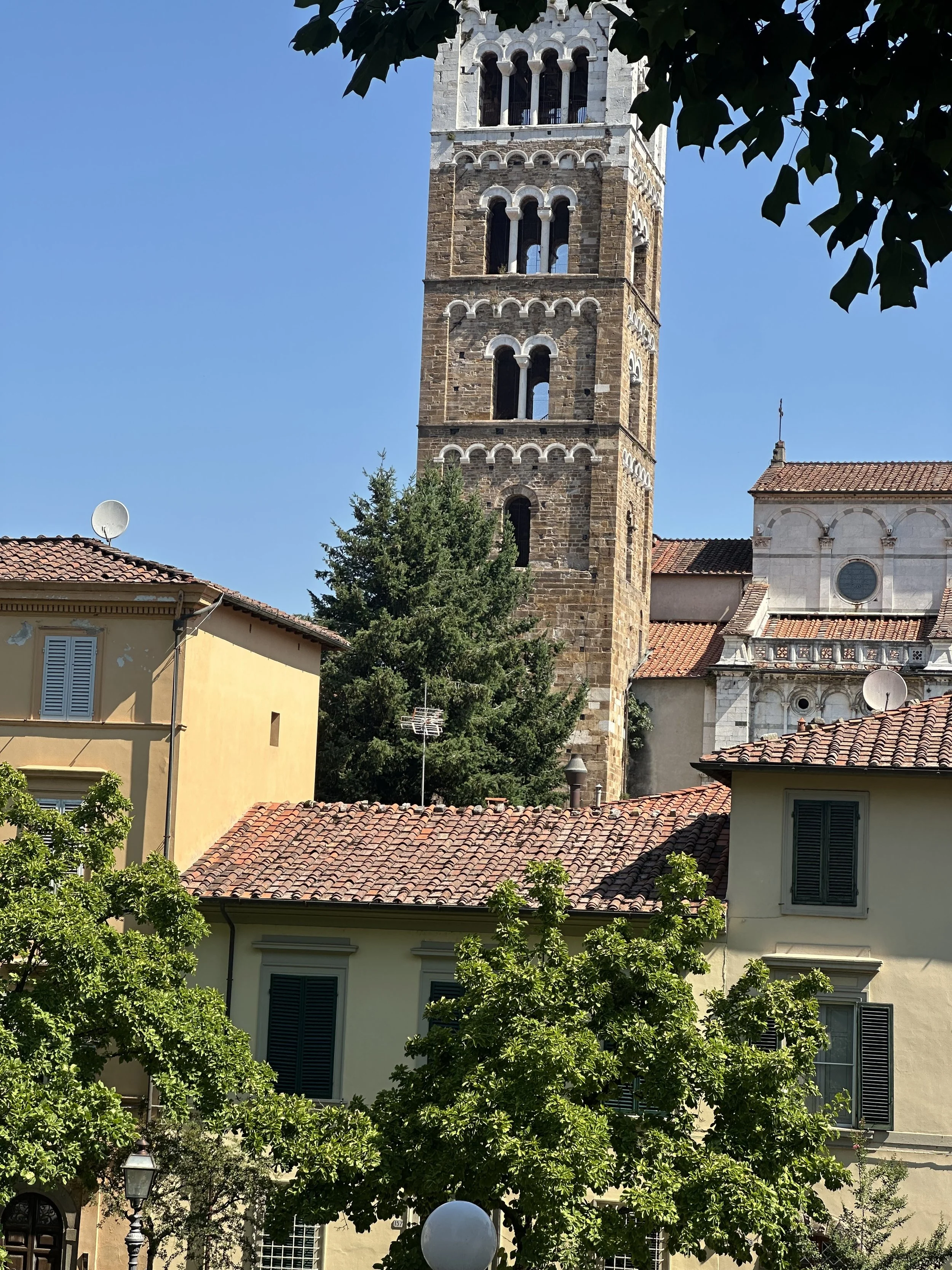 IMG_3988.jpeg