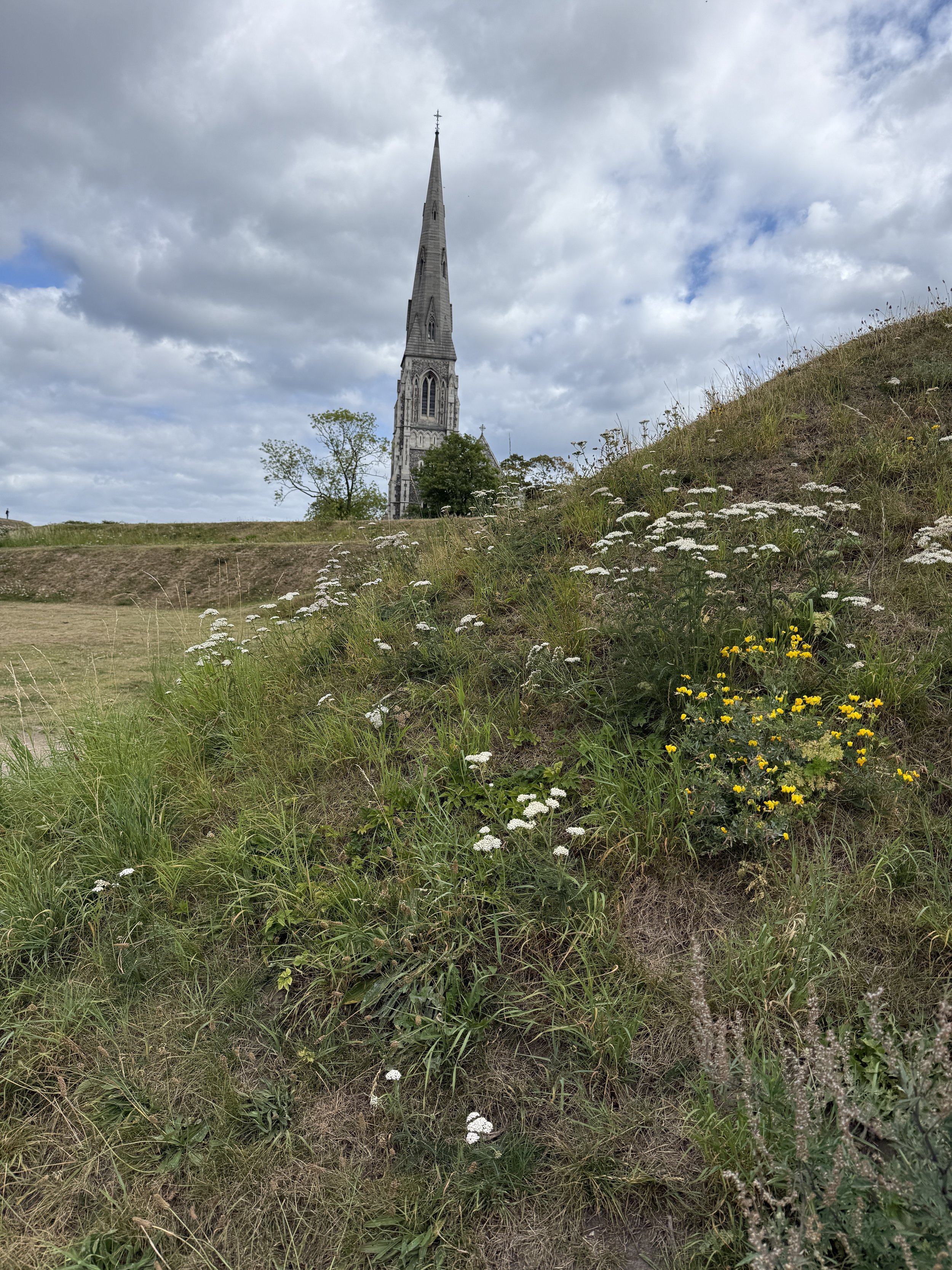 IMG_9182.jpeg