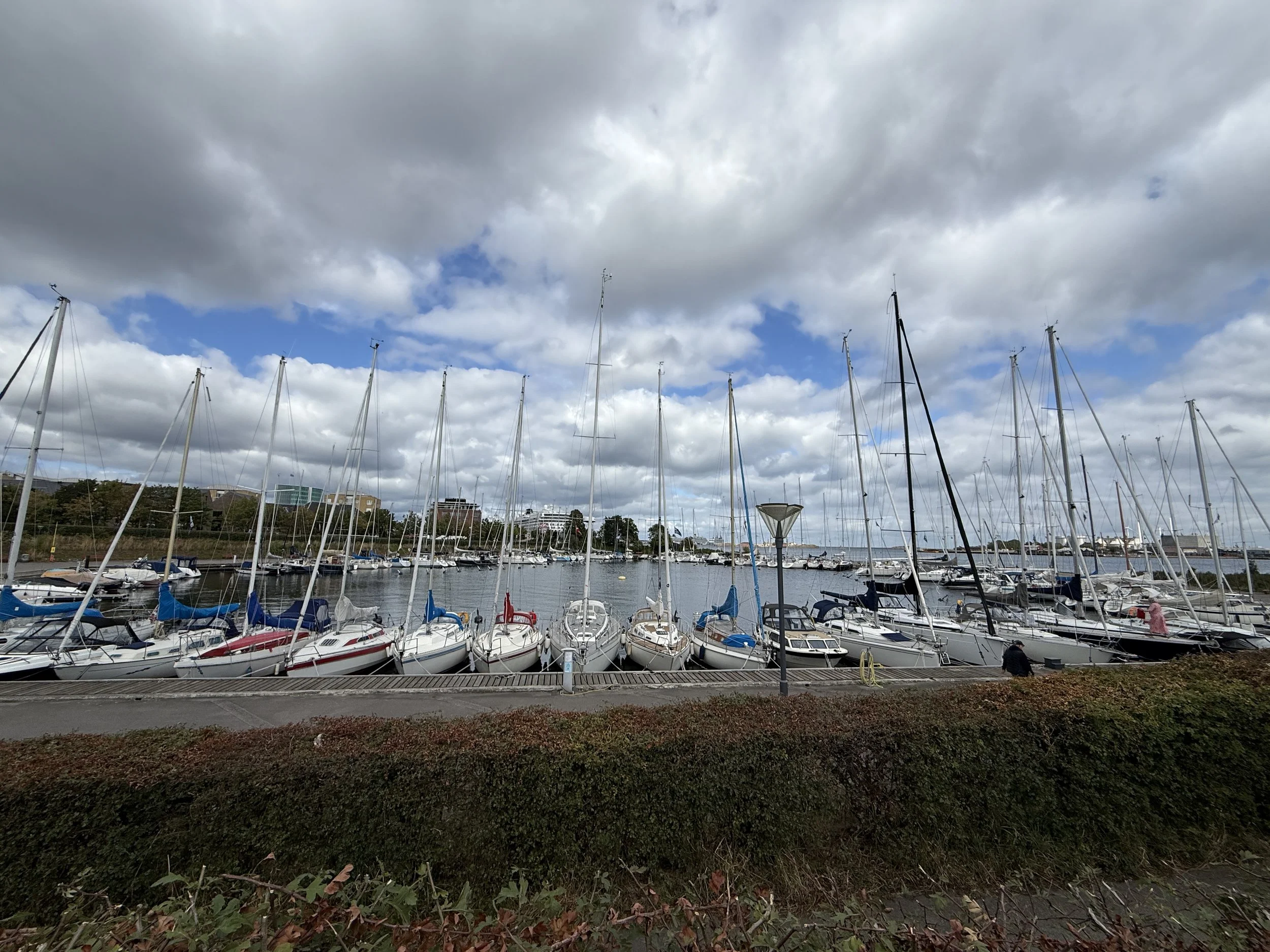 IMG_9190.jpeg