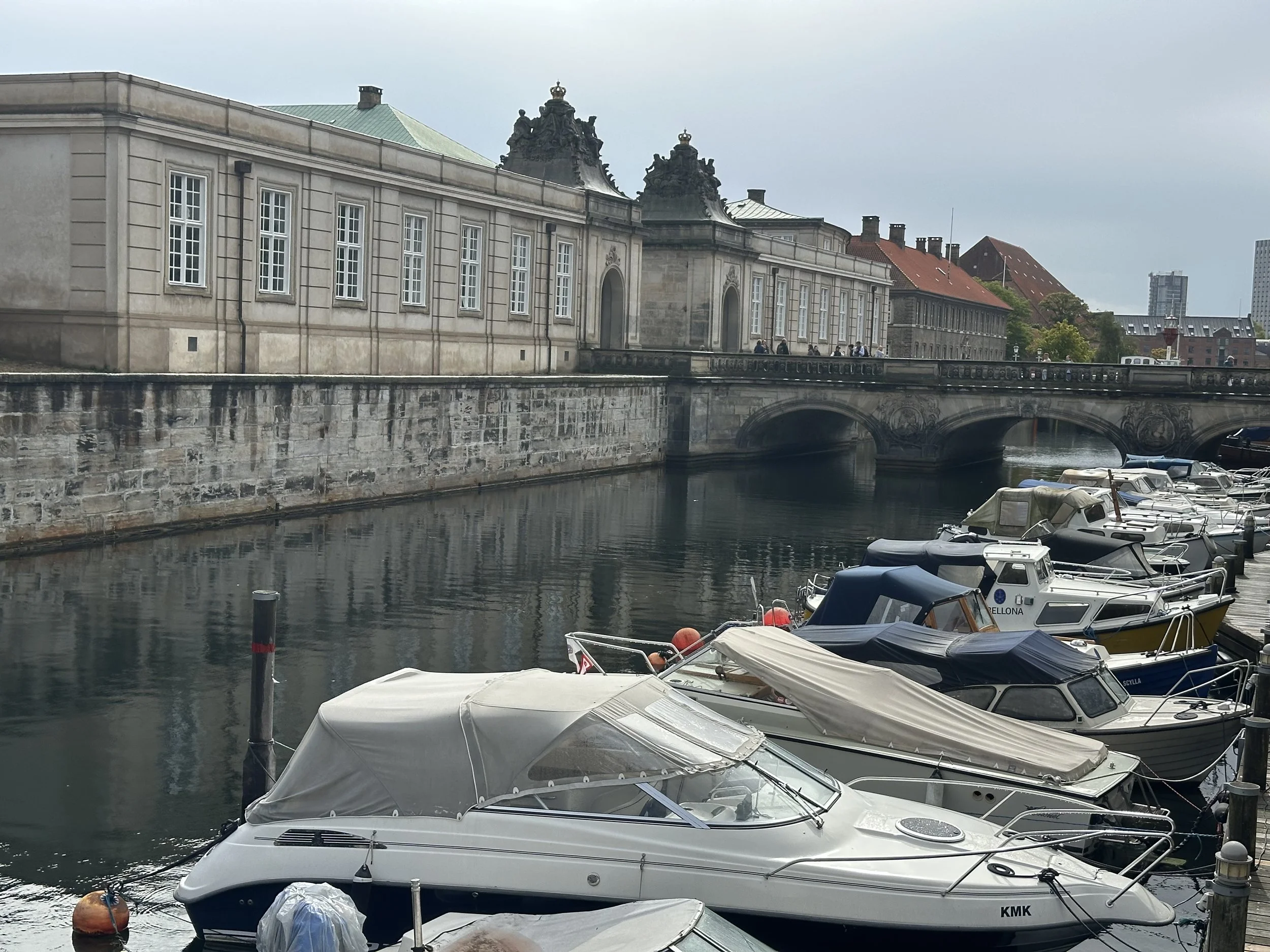 IMG_5596.jpeg