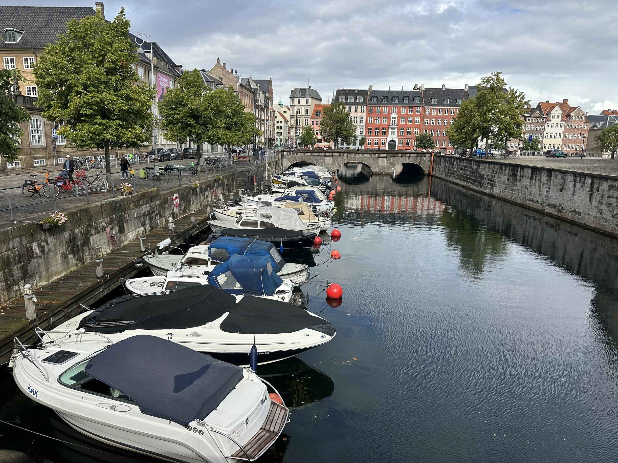 IMG_5599.jpeg