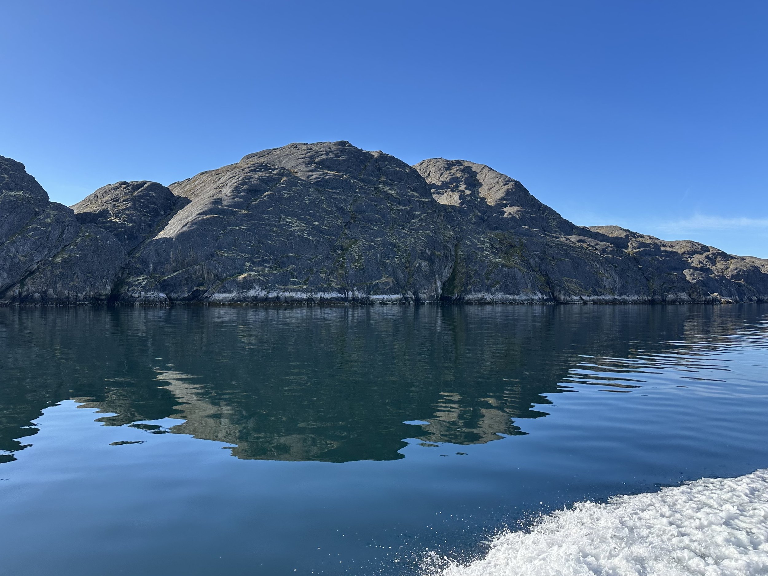 IMG_5980.jpeg
