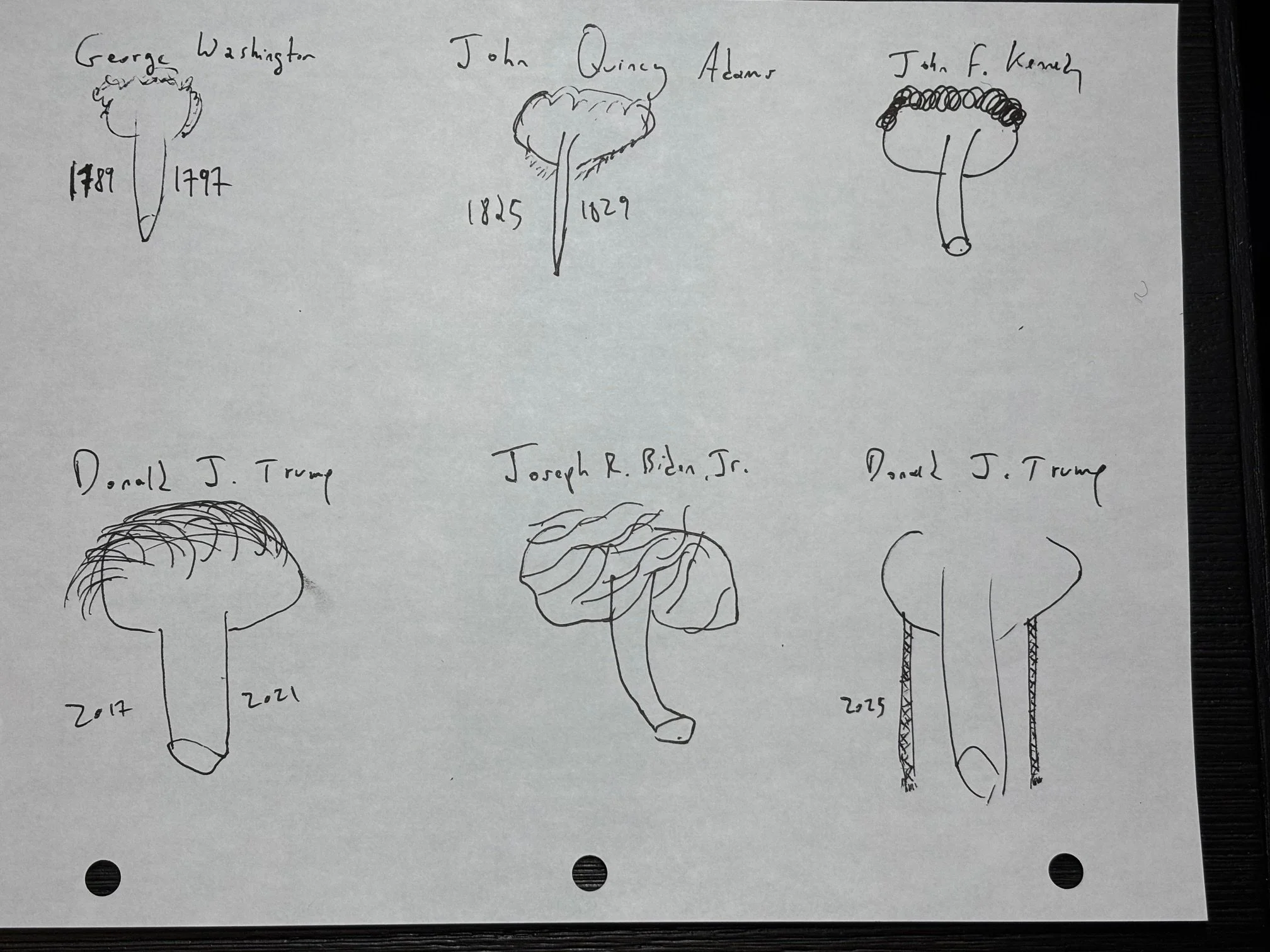 U.S. President Cocks -- 6 POTUS Cocks -- Original Drawing
