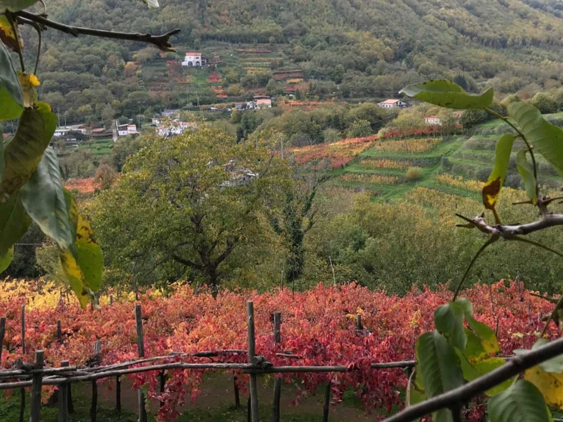 Tenuta San Francesco Winery