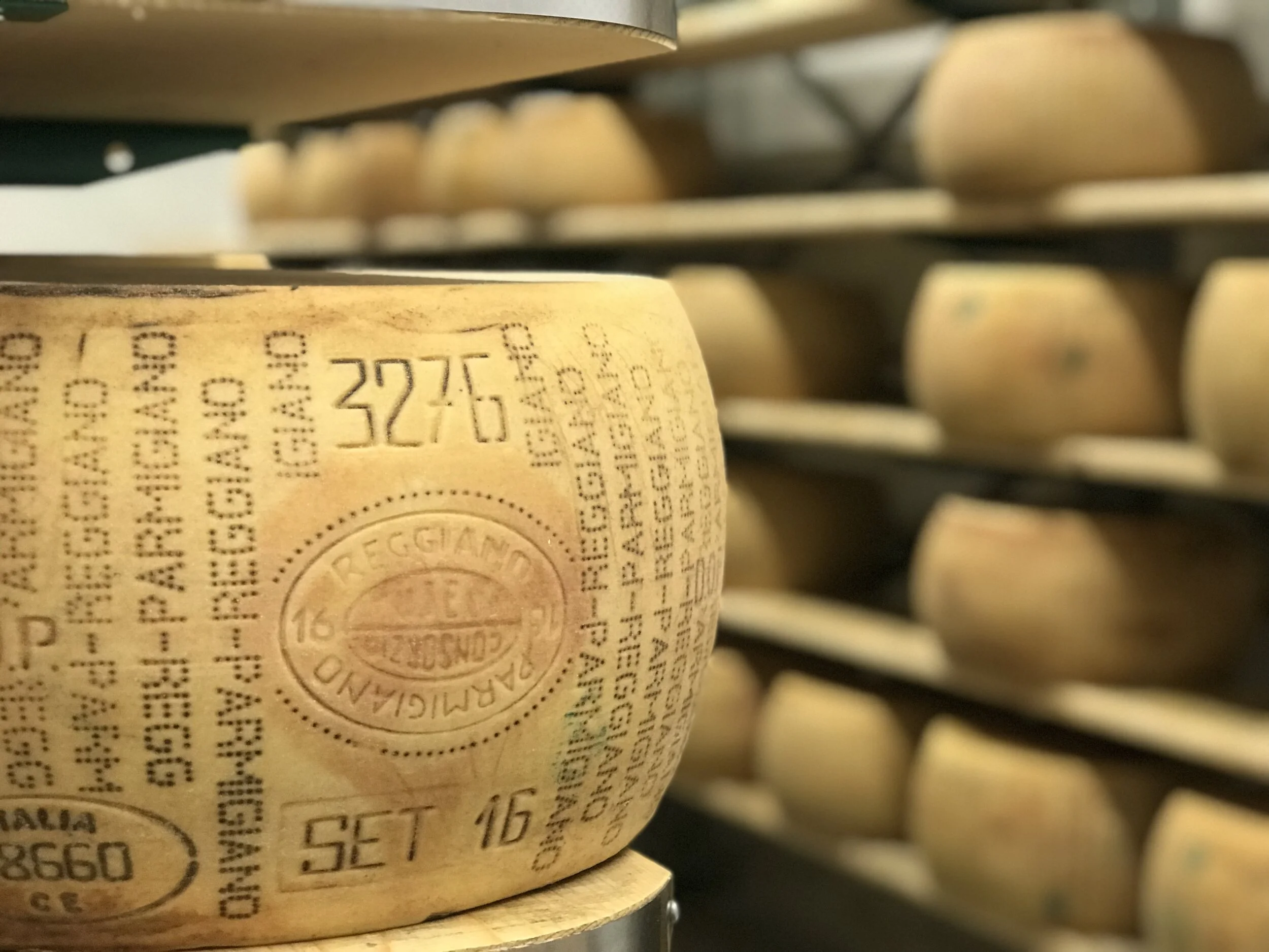 Montecoppe Dairy Farm