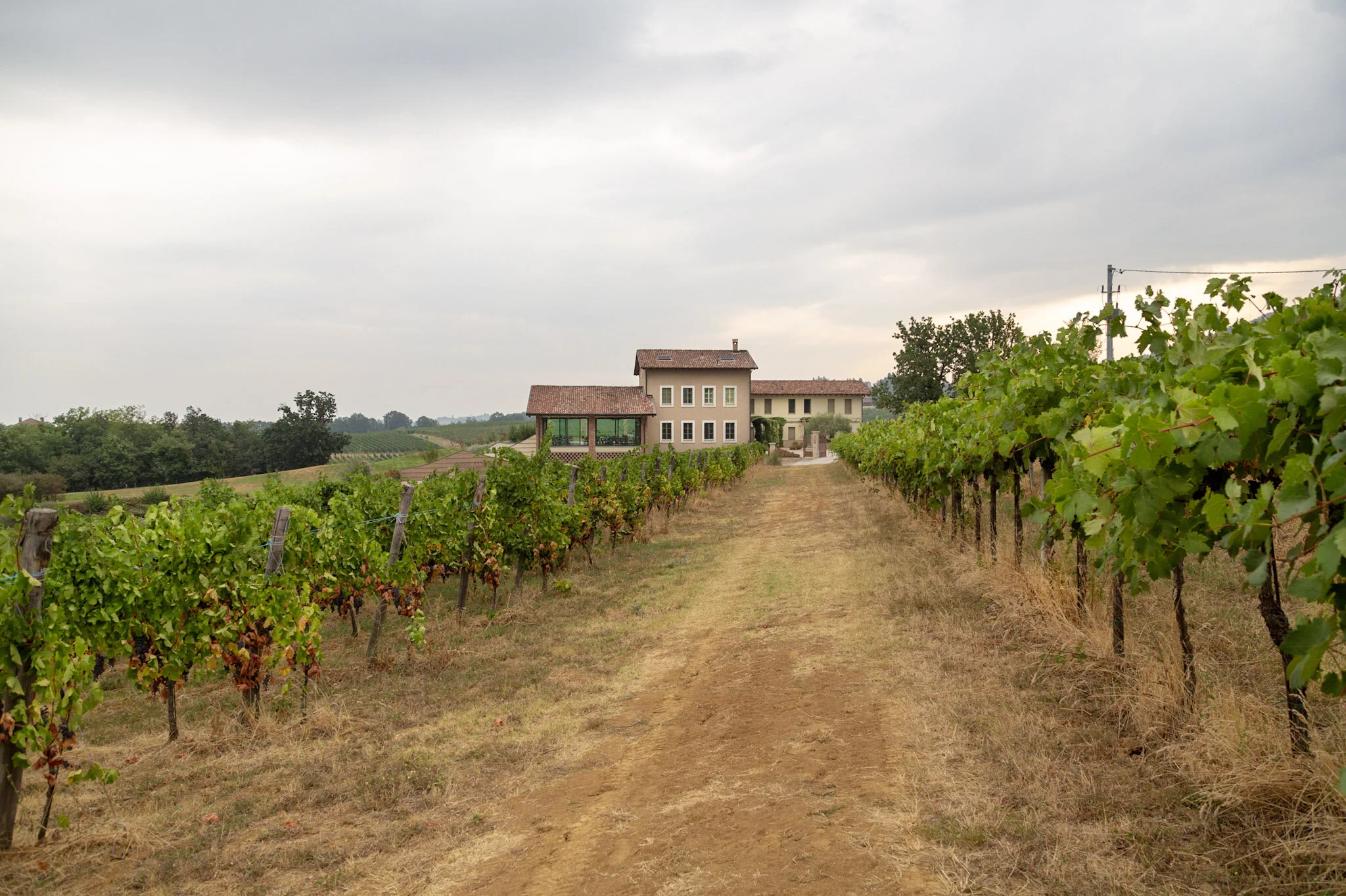 Copia di 355-20180825_2018_08_Italy_Wine_trip_533.jpg