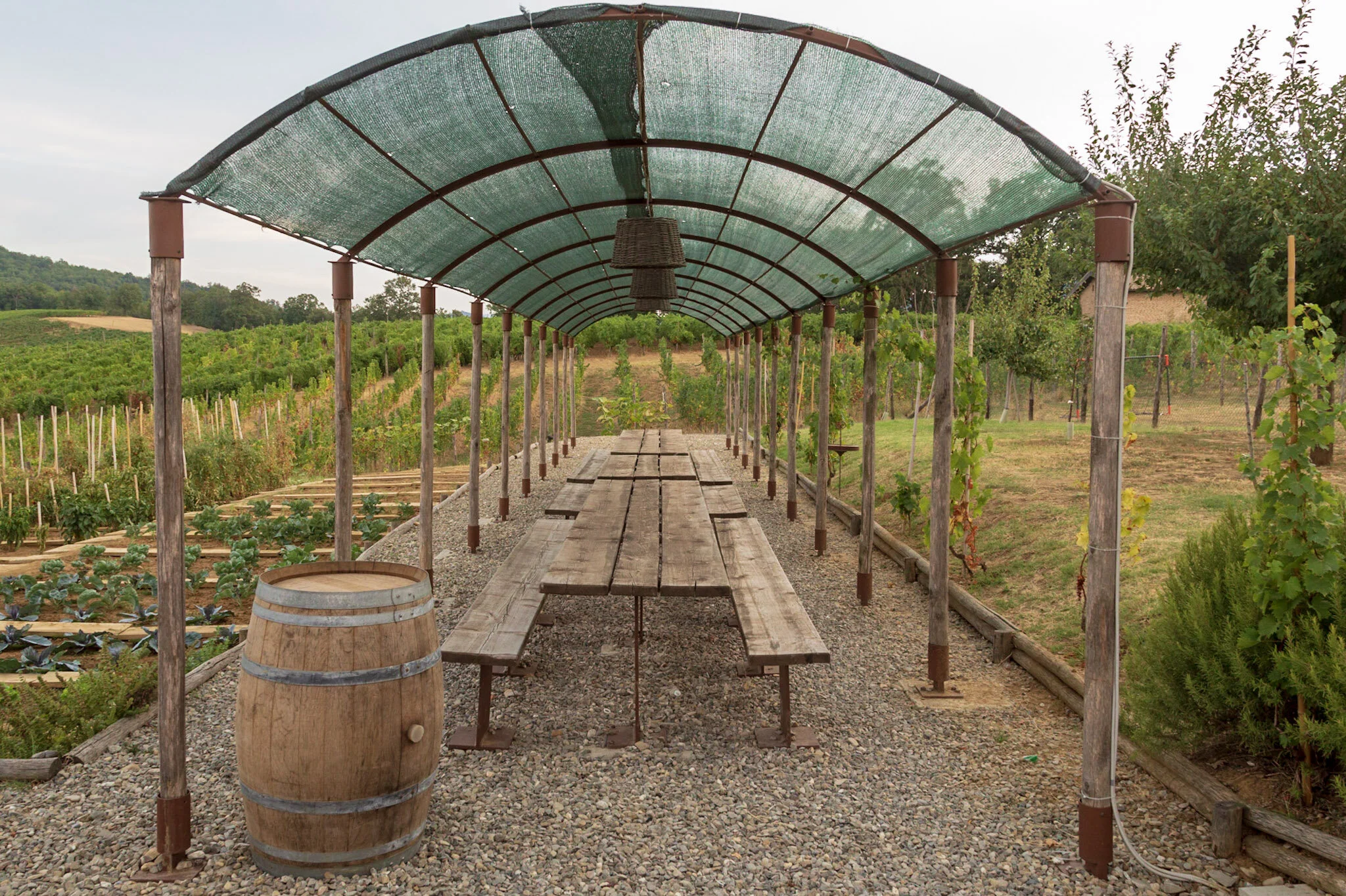 Copia di 361-20180824_2018_08_Italy_Wine_trip_497.jpg