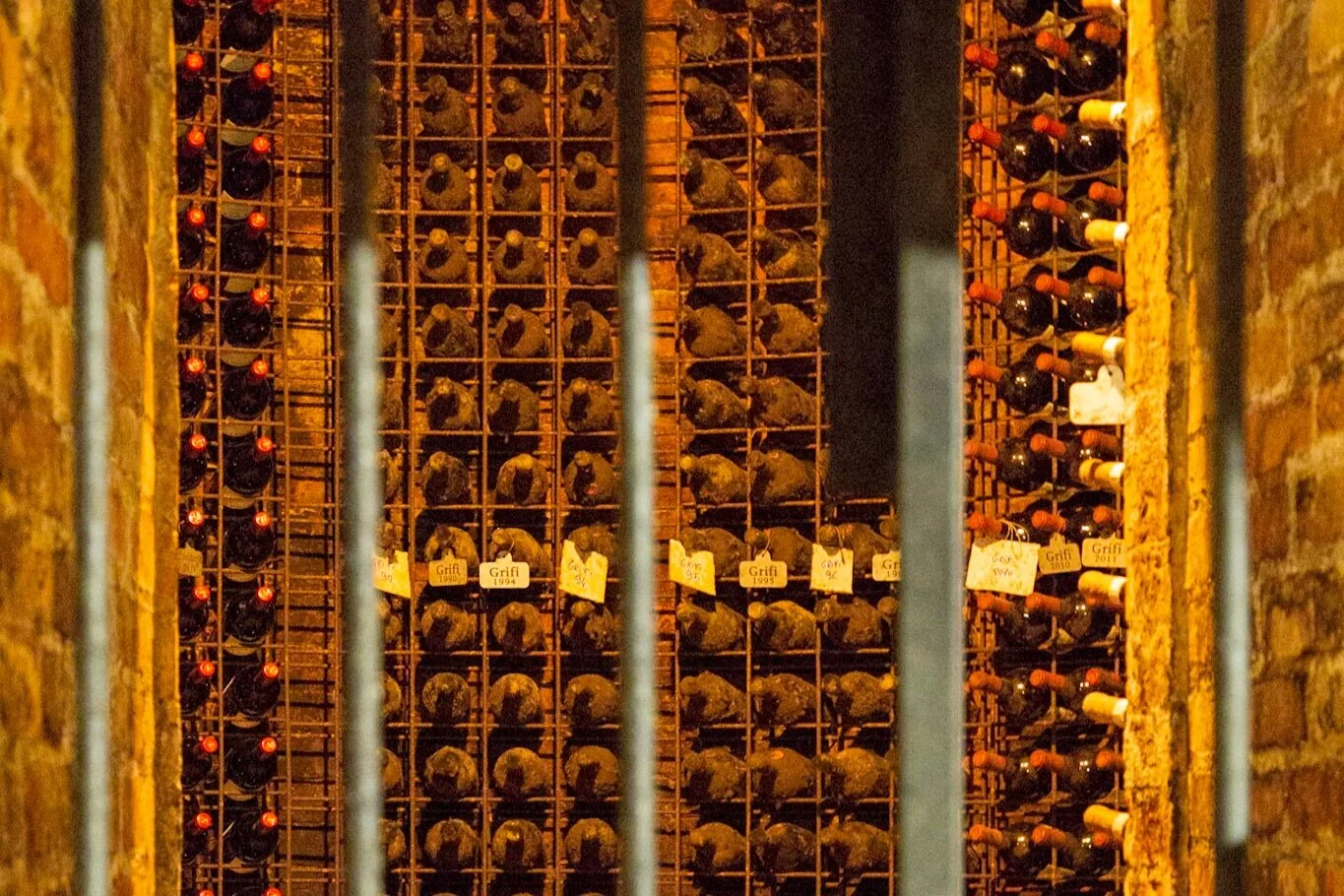 The who, what, where and why of biodynamic viticulture!