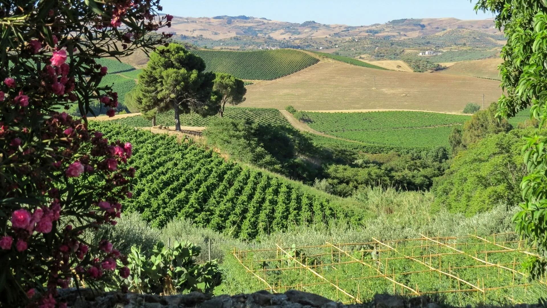 Tenuta Regaleali winery