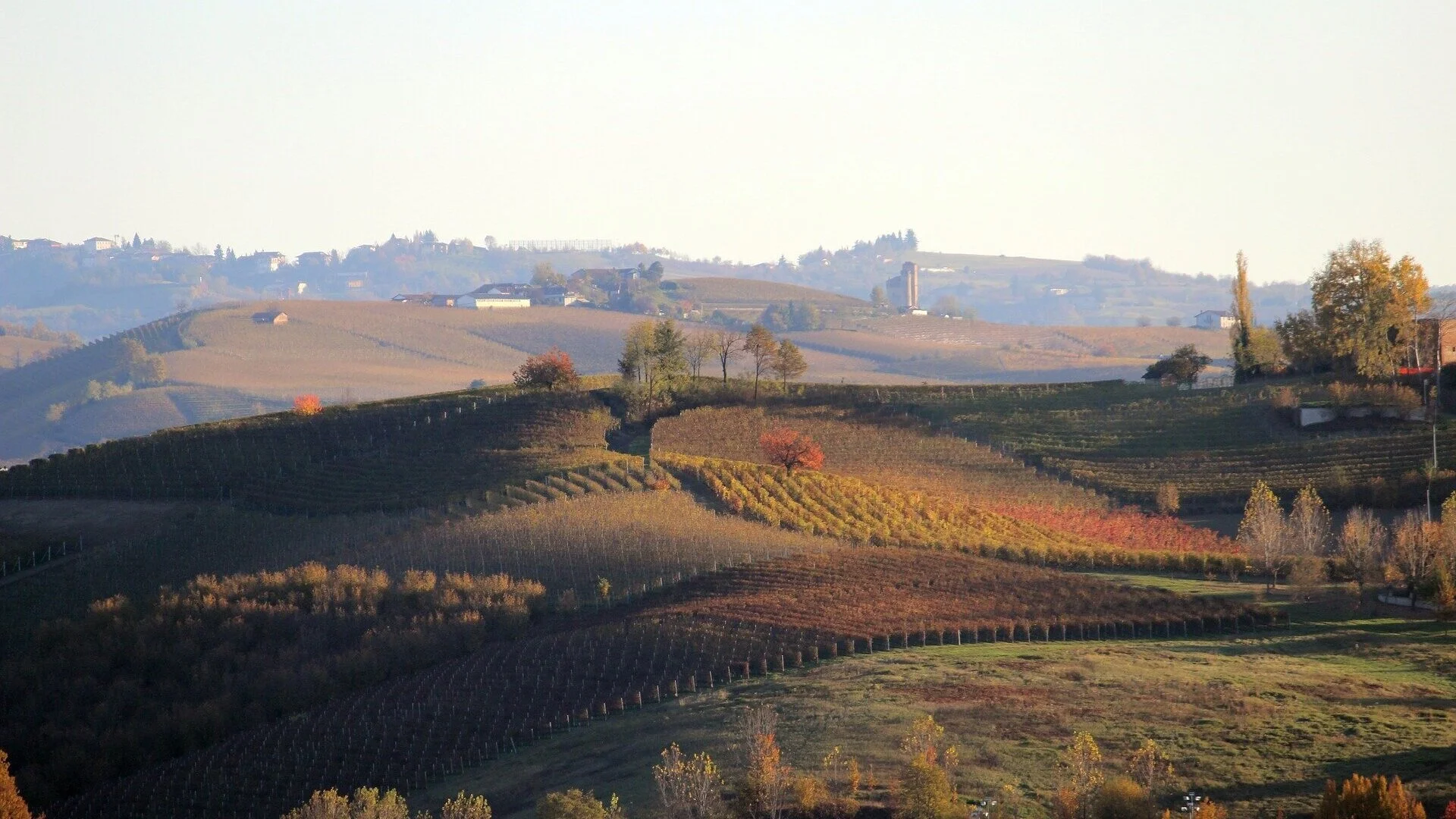 Langhe