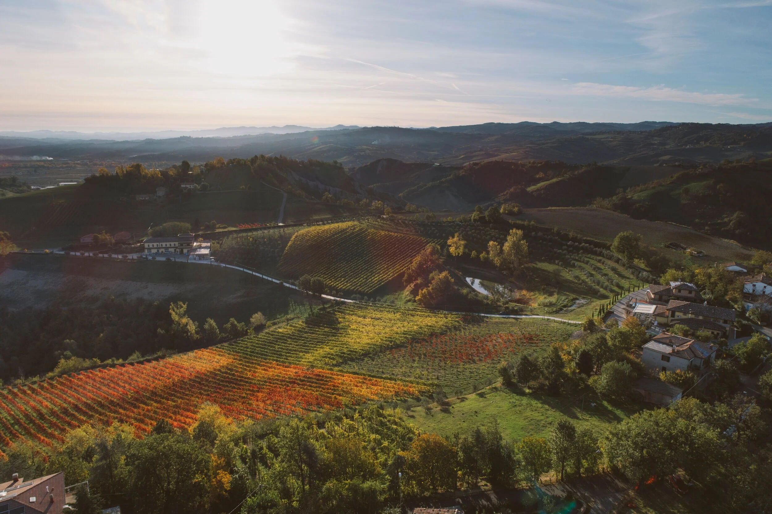 Surroundings of Acetaia Sereni