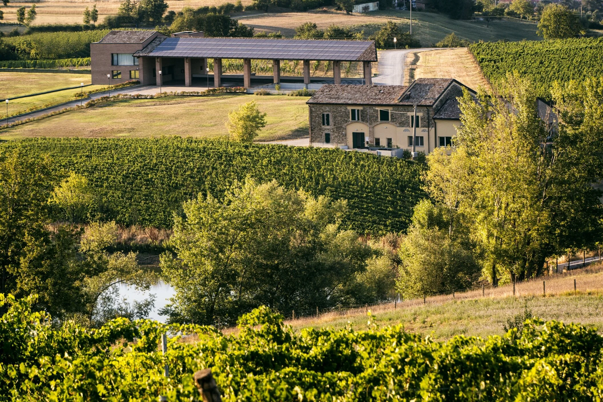 Monte delle Vigne Winery