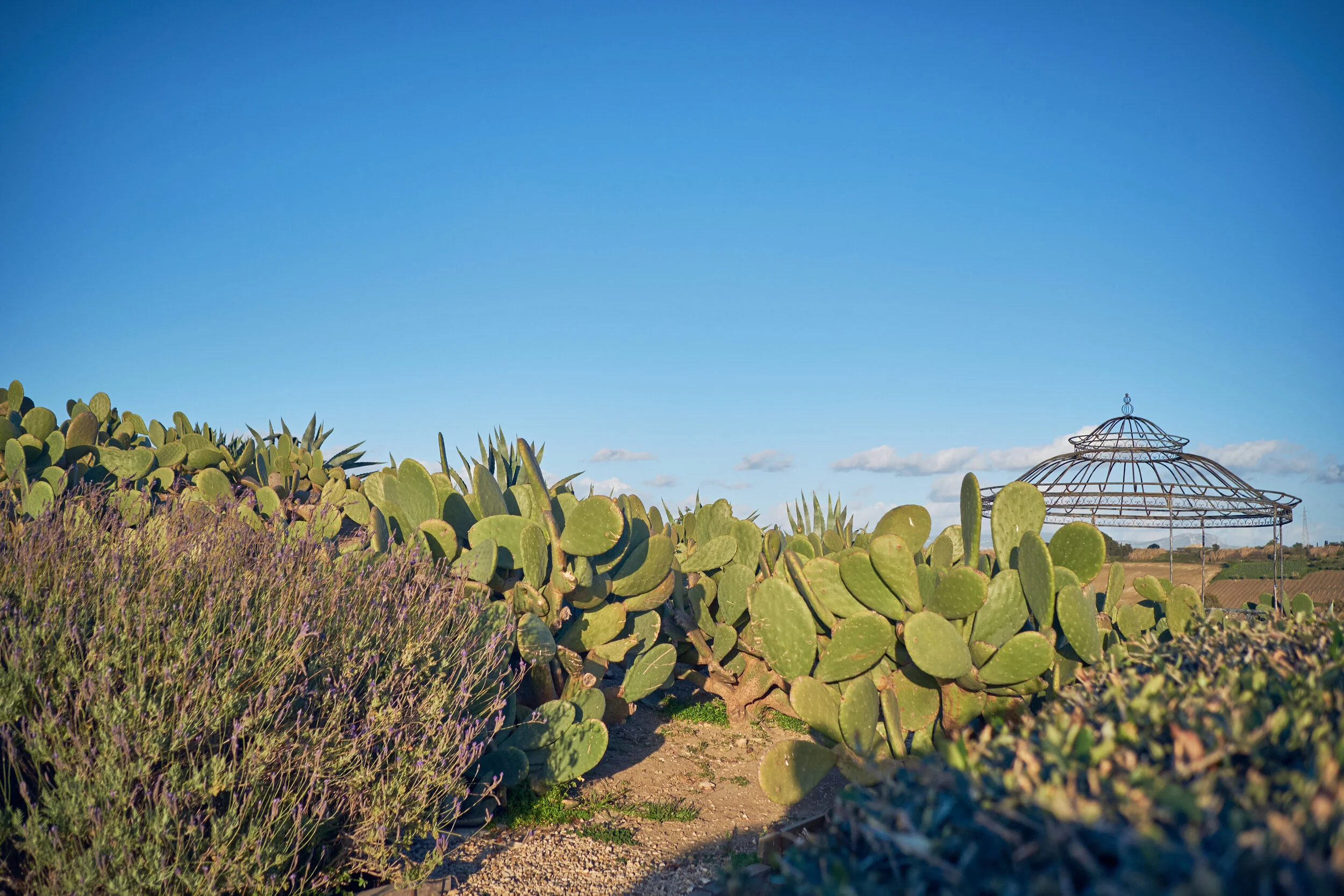 _DSF9547 _danielemari.jpg