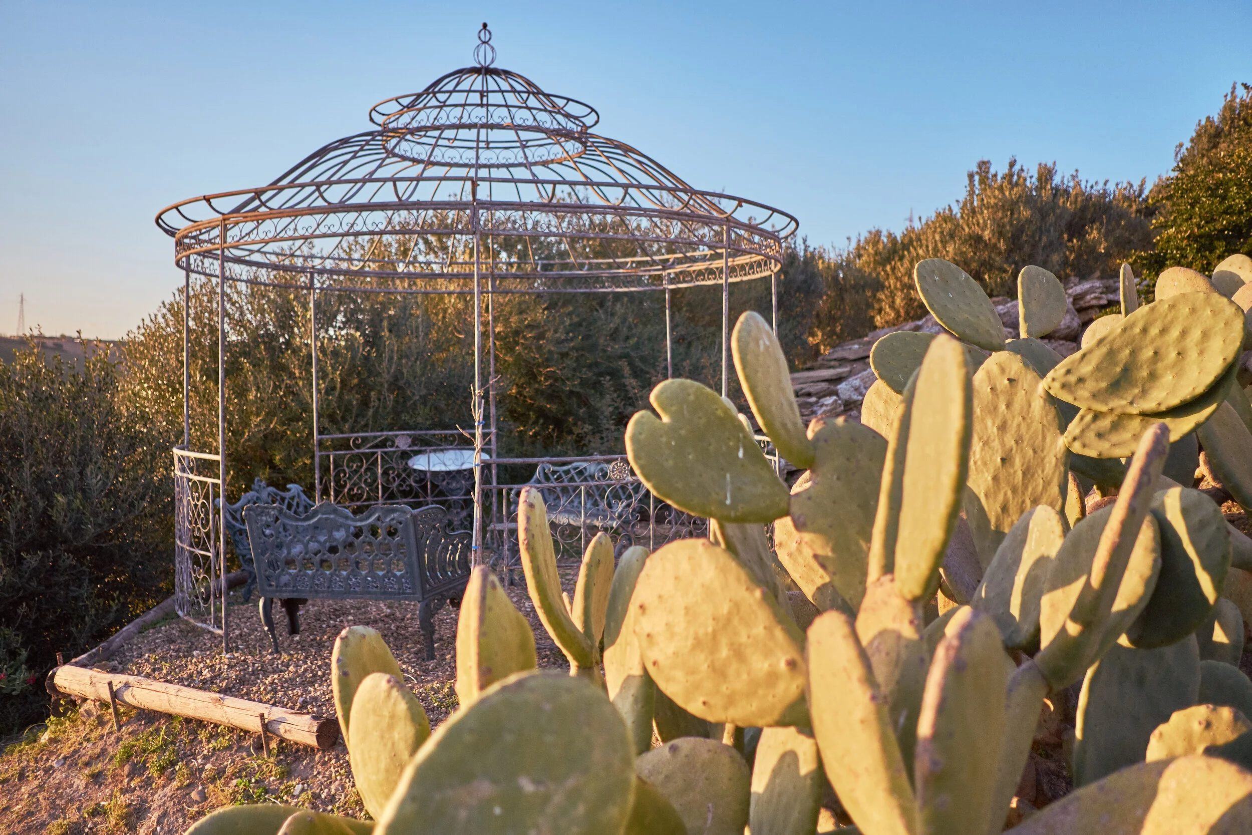 _DSF9659 _danielemari.jpg