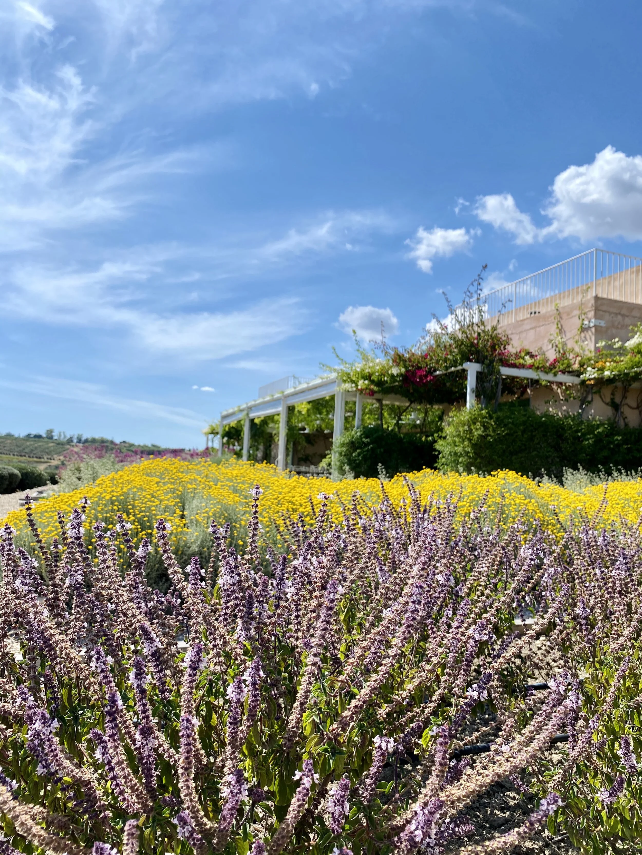 Giardino degli aromi_1.jpg