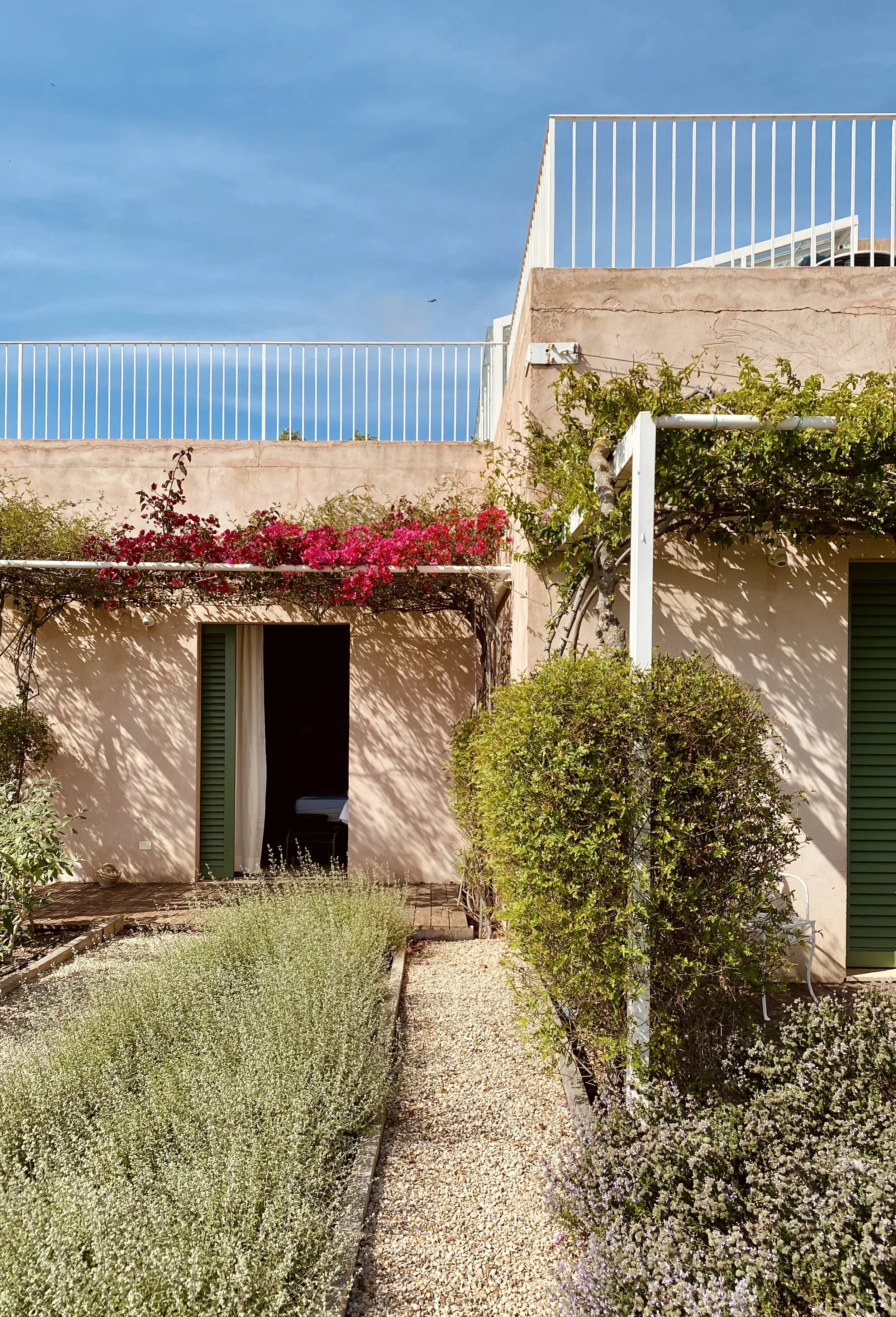 camera 3 origano.jpg