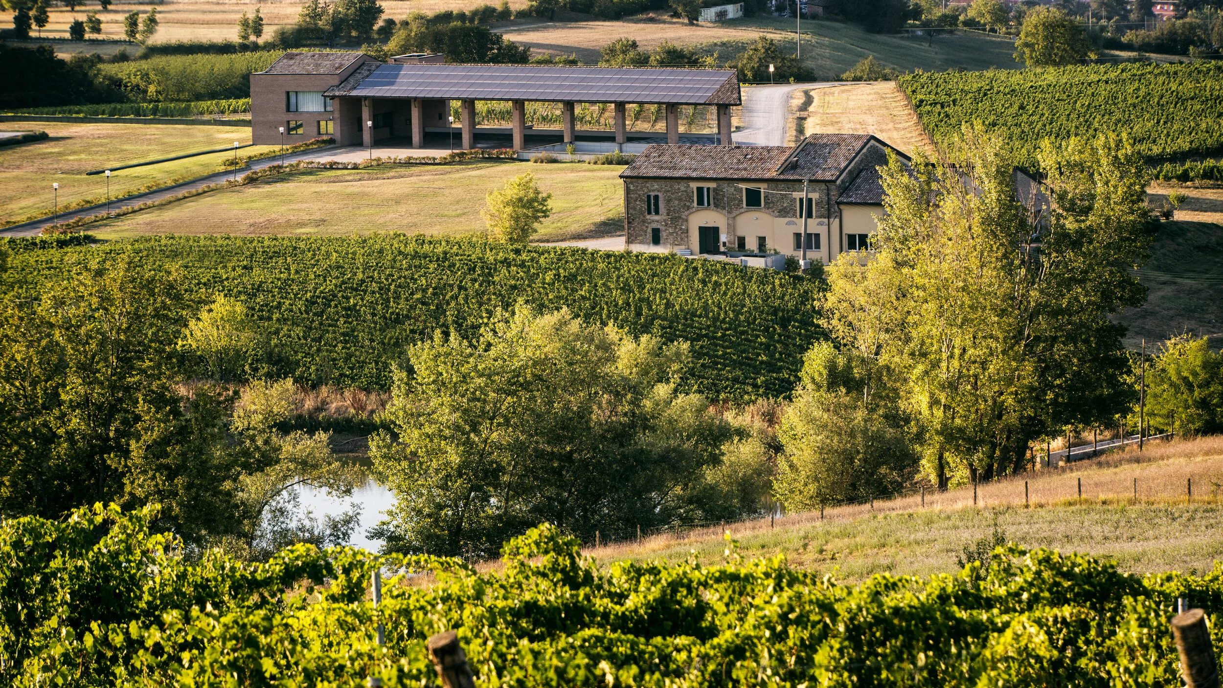Monte delle Vigne Winery