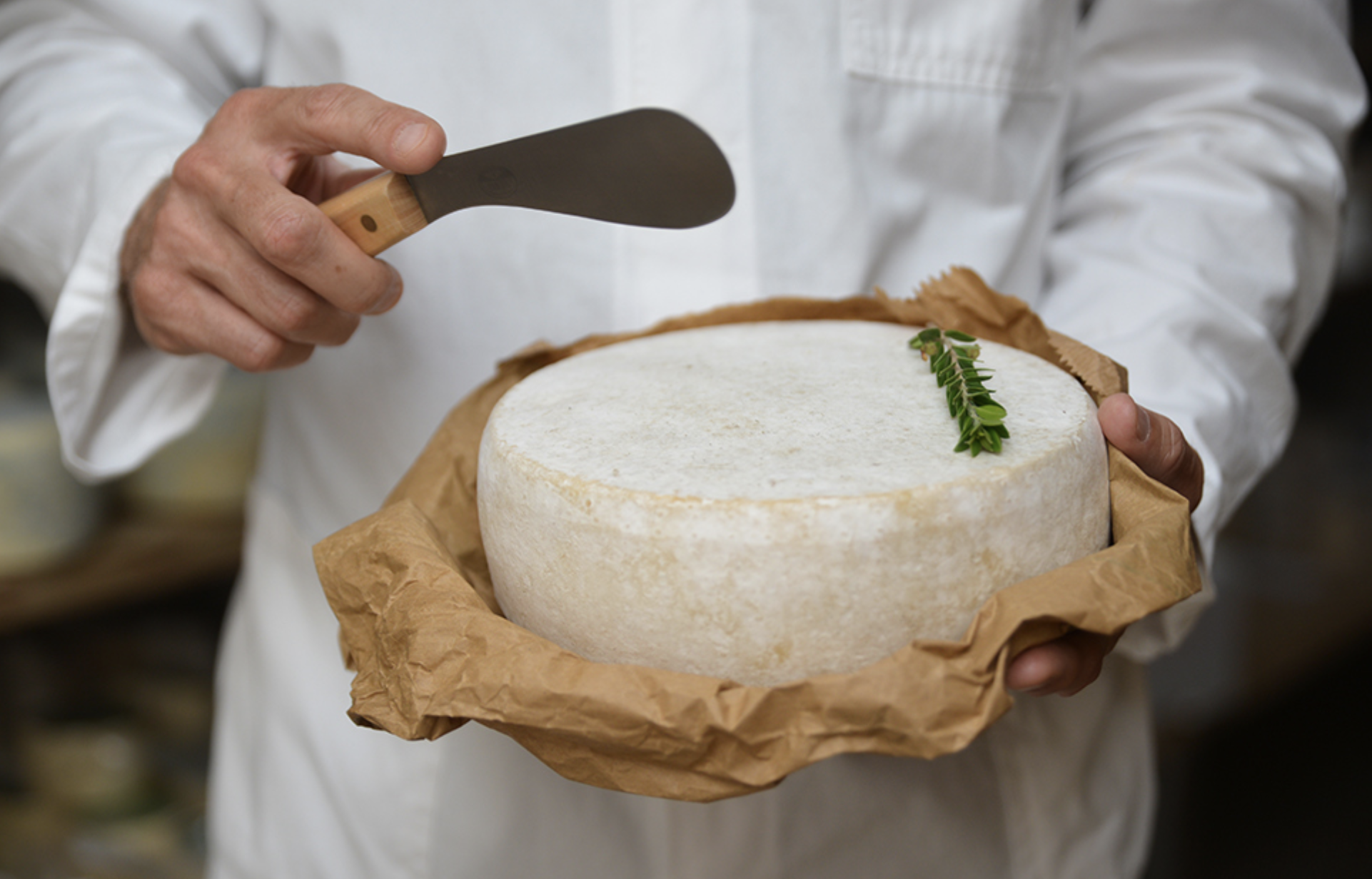 Caseificio Torre S. Emiliano