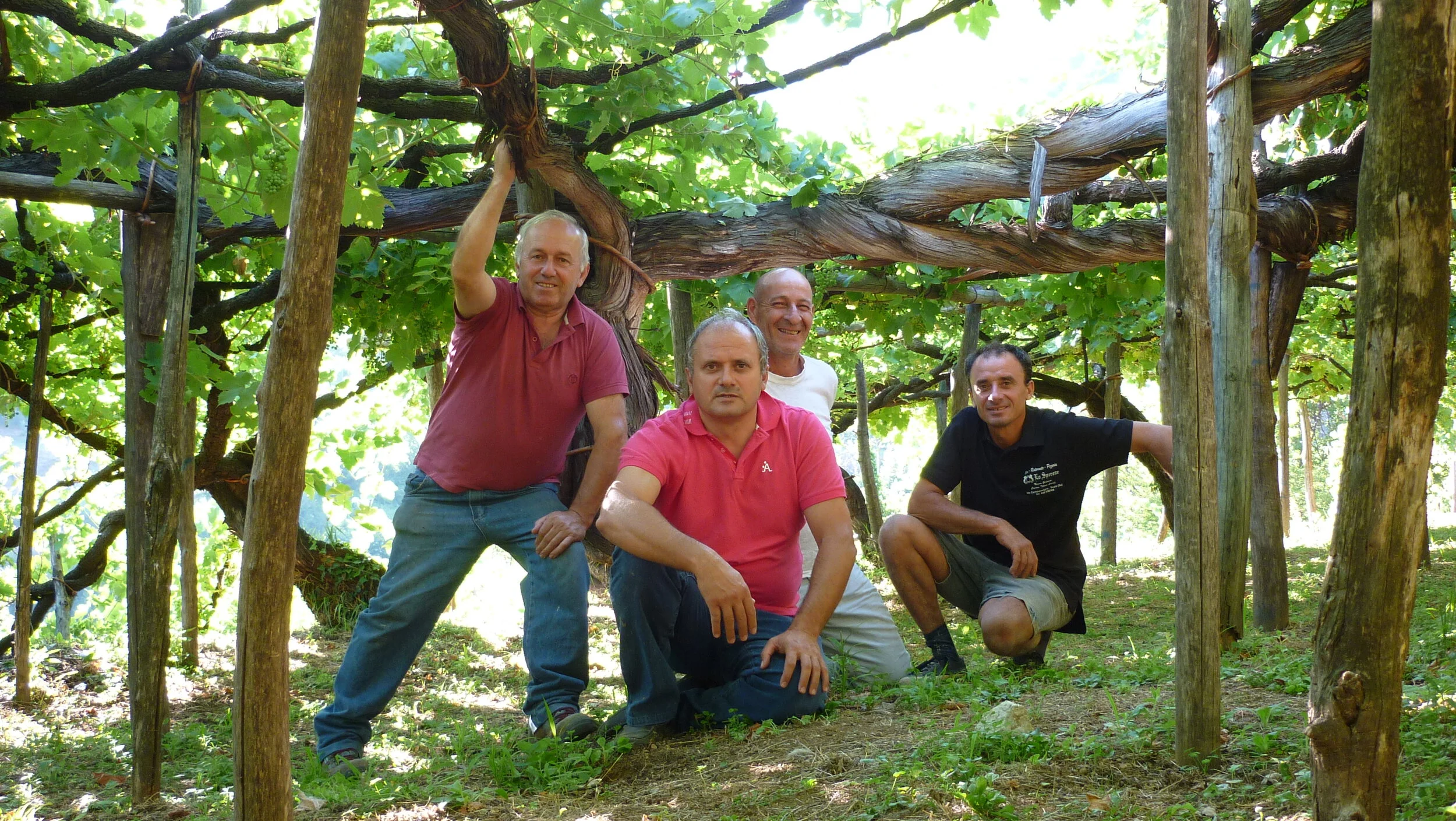 Tenuta San Francesco Winery