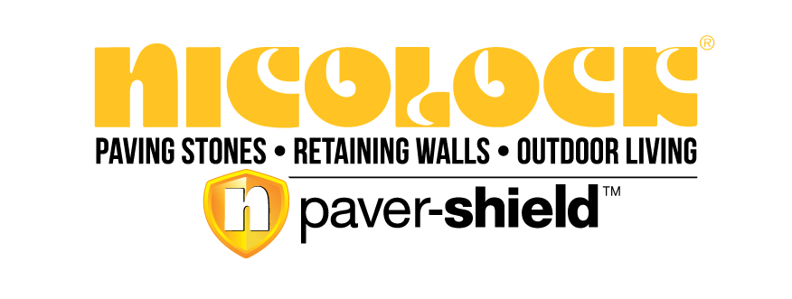 Logo for Nickelodeon featuring the word 'Nickelodeon' in yellow stylized text and a shiny shield with a white 'n' in the center