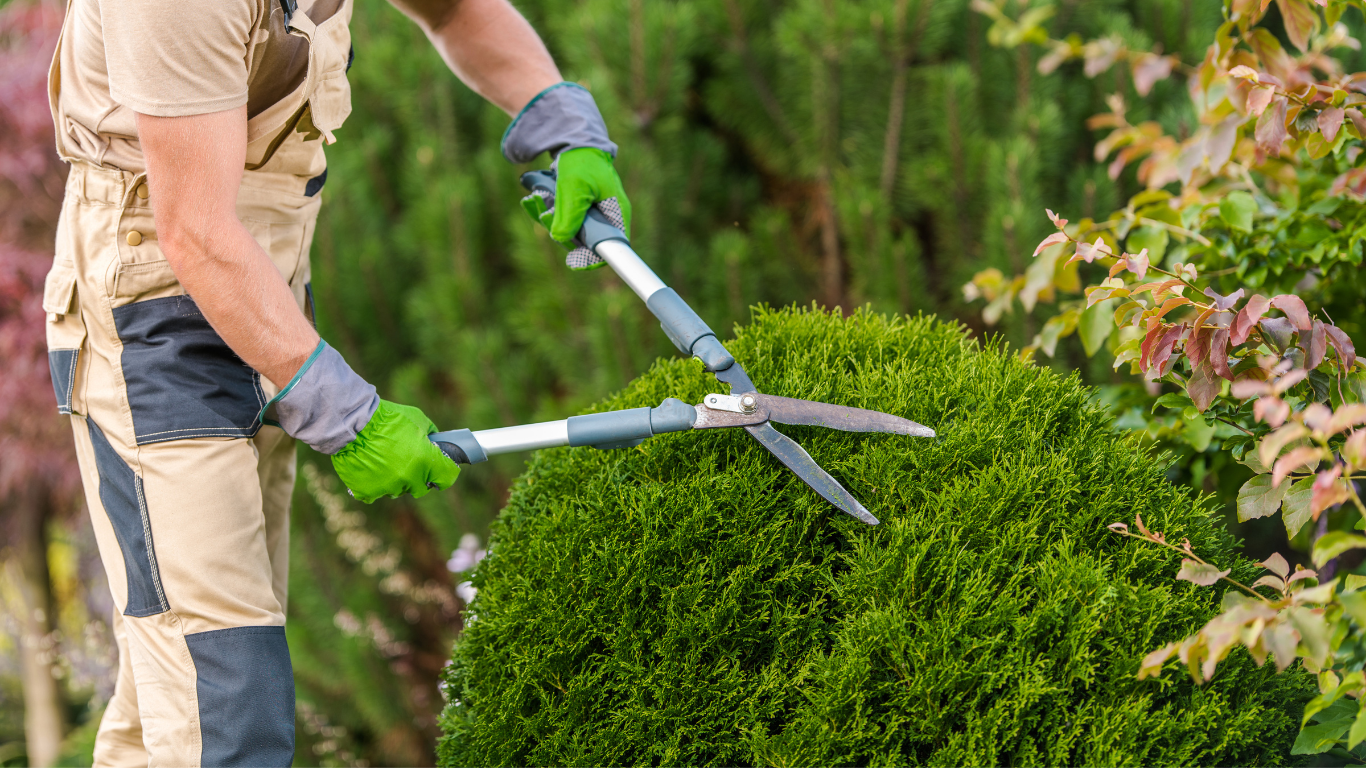 Pruning Bushes & Trees.png