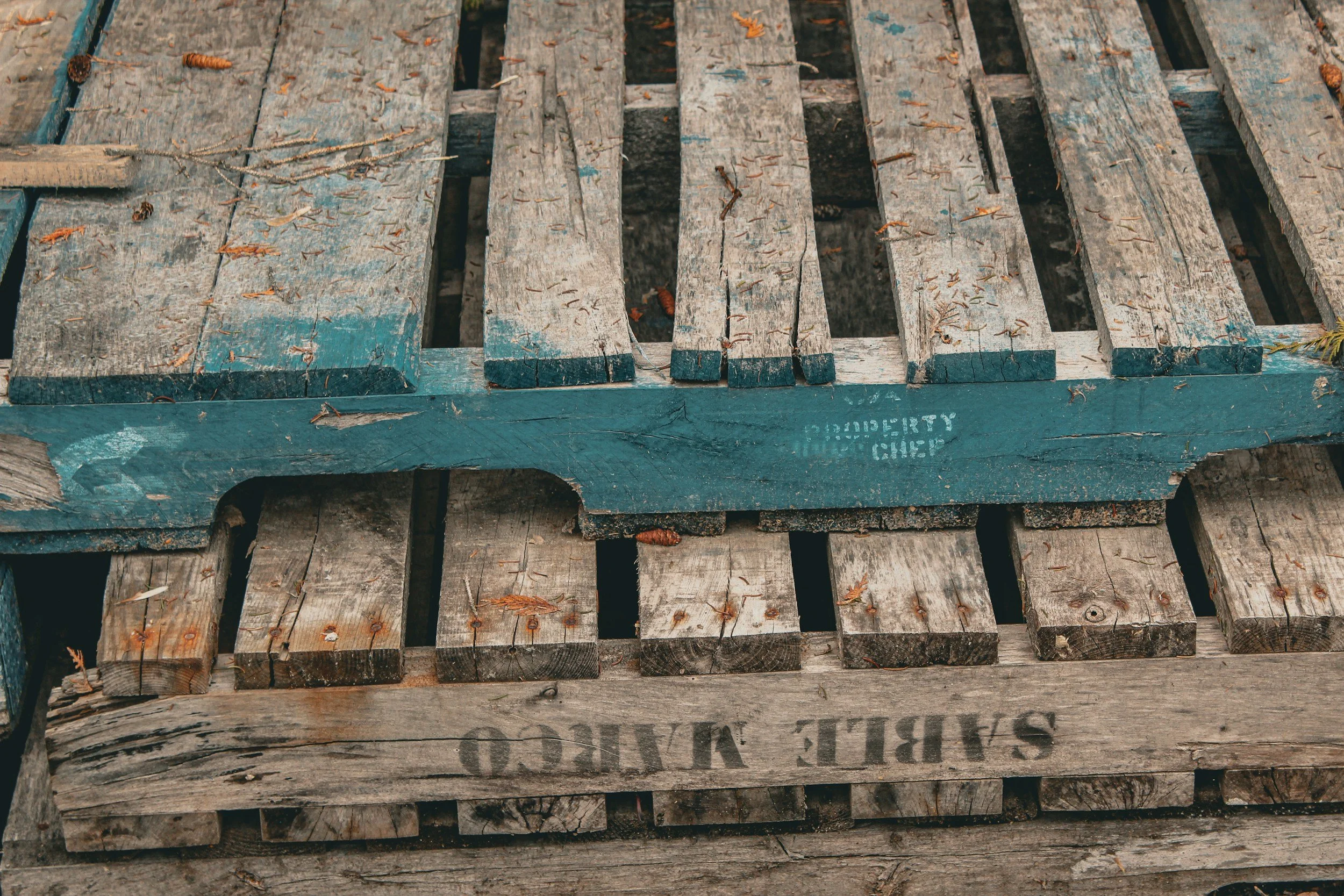 Close-up of weathered wooden pallets, one painted blue with peeling paint and text, another natural wood, with leaves and small branches scattered on top.